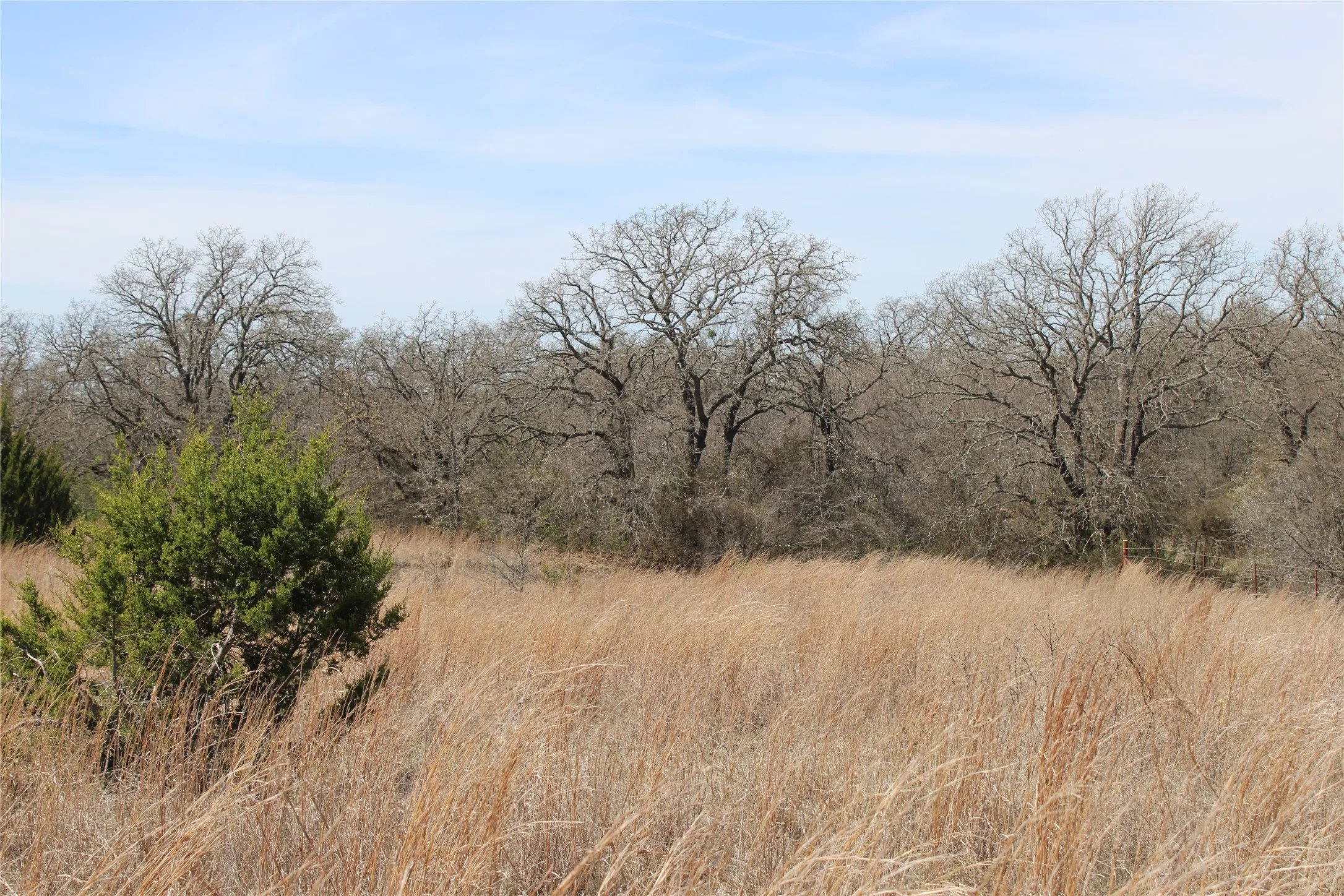 Unimproved Land For Sale in Jack County , 13 AC N Mason, Perrin, Texas 78486, 0, 0, Garage spaces, 0 Sqft, built in 0, mls#21217112, Real Estate Agent in Perrin, Homes For Sale in Jack county, Homes For Sale in Perrin, Realtor in Perrin Texas, Real Estate Brokerage Independent Realty Texas, Luminita Cordes Realtor