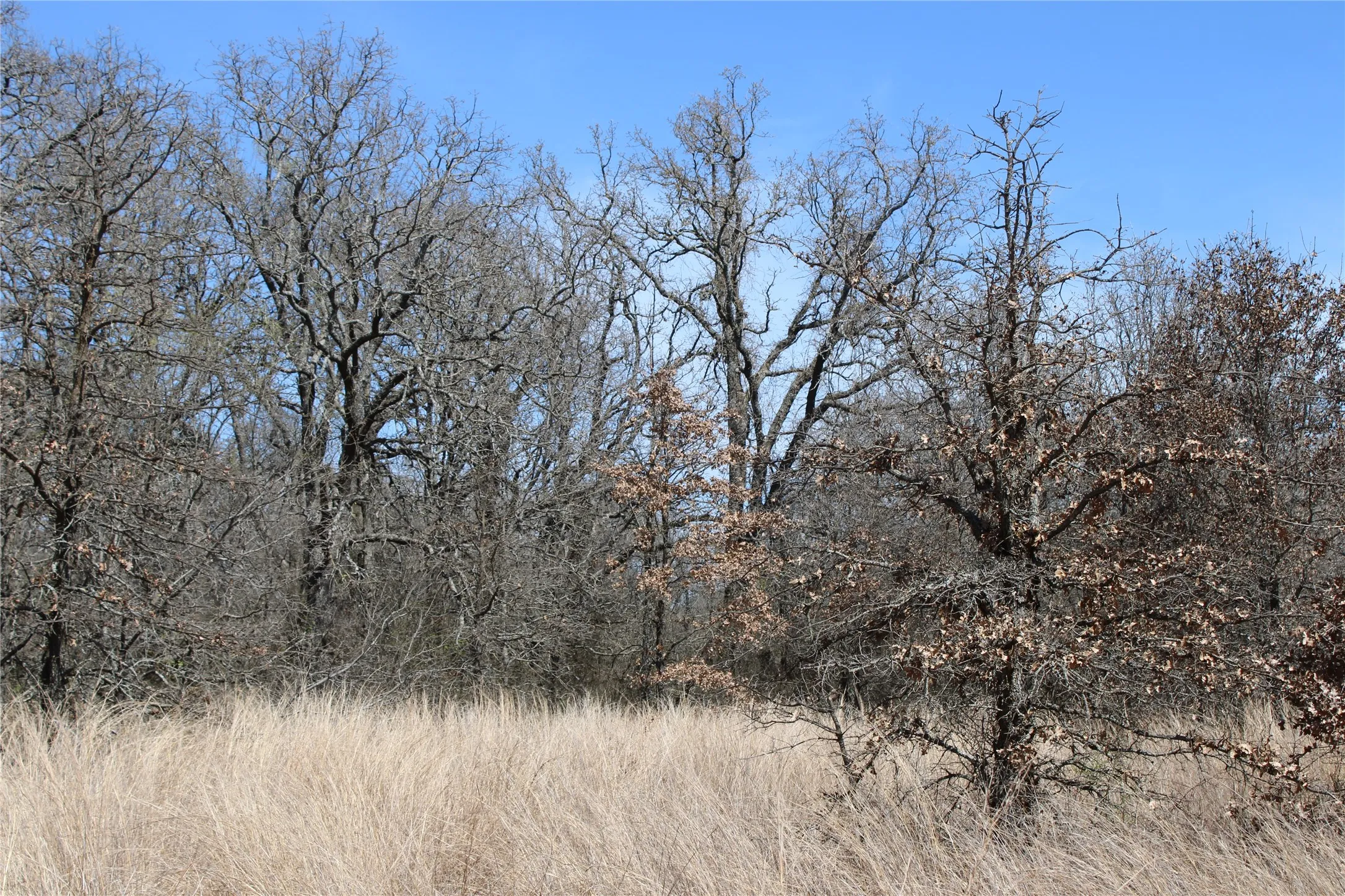 Unimproved Land For Sale in Jack County , 13 AC N Mason, Perrin, Texas 78486, 0, 0, Garage spaces, 0 Sqft, built in 0, mls#21217112, Real Estate Agent in Perrin, Homes For Sale in Jack county, Homes For Sale in Perrin, Realtor in Perrin Texas, Real Estate Brokerage Independent Realty Texas, Luminita Cordes Realtor