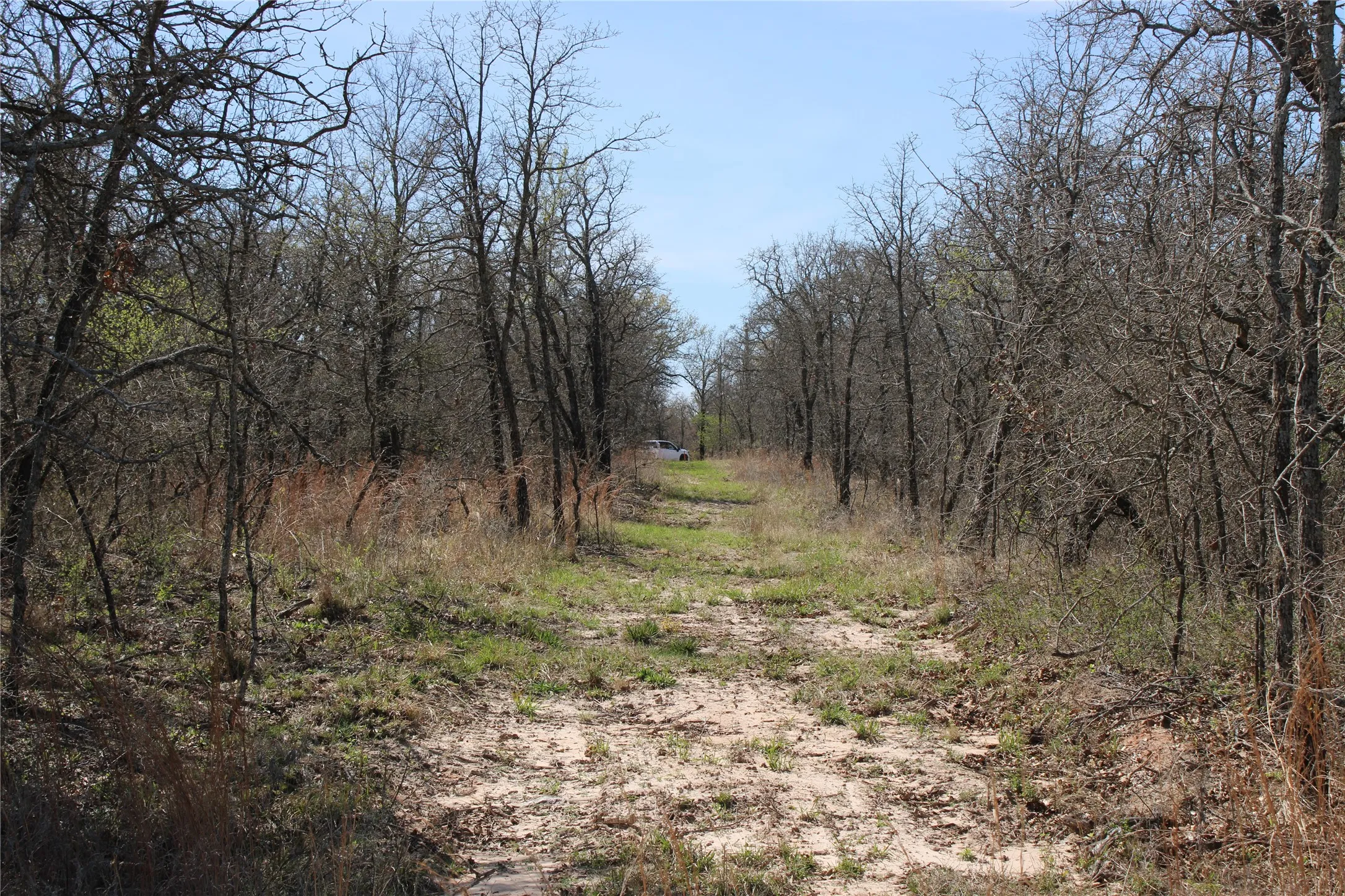 Unimproved Land For Sale in Jack County , 13 AC N Mason, Perrin, Texas 78486, 0, 0, Garage spaces, 0 Sqft, built in 0, mls#21217112, Real Estate Agent in Perrin, Homes For Sale in Jack county, Homes For Sale in Perrin, Realtor in Perrin Texas, Real Estate Brokerage Independent Realty Texas, Luminita Cordes Realtor