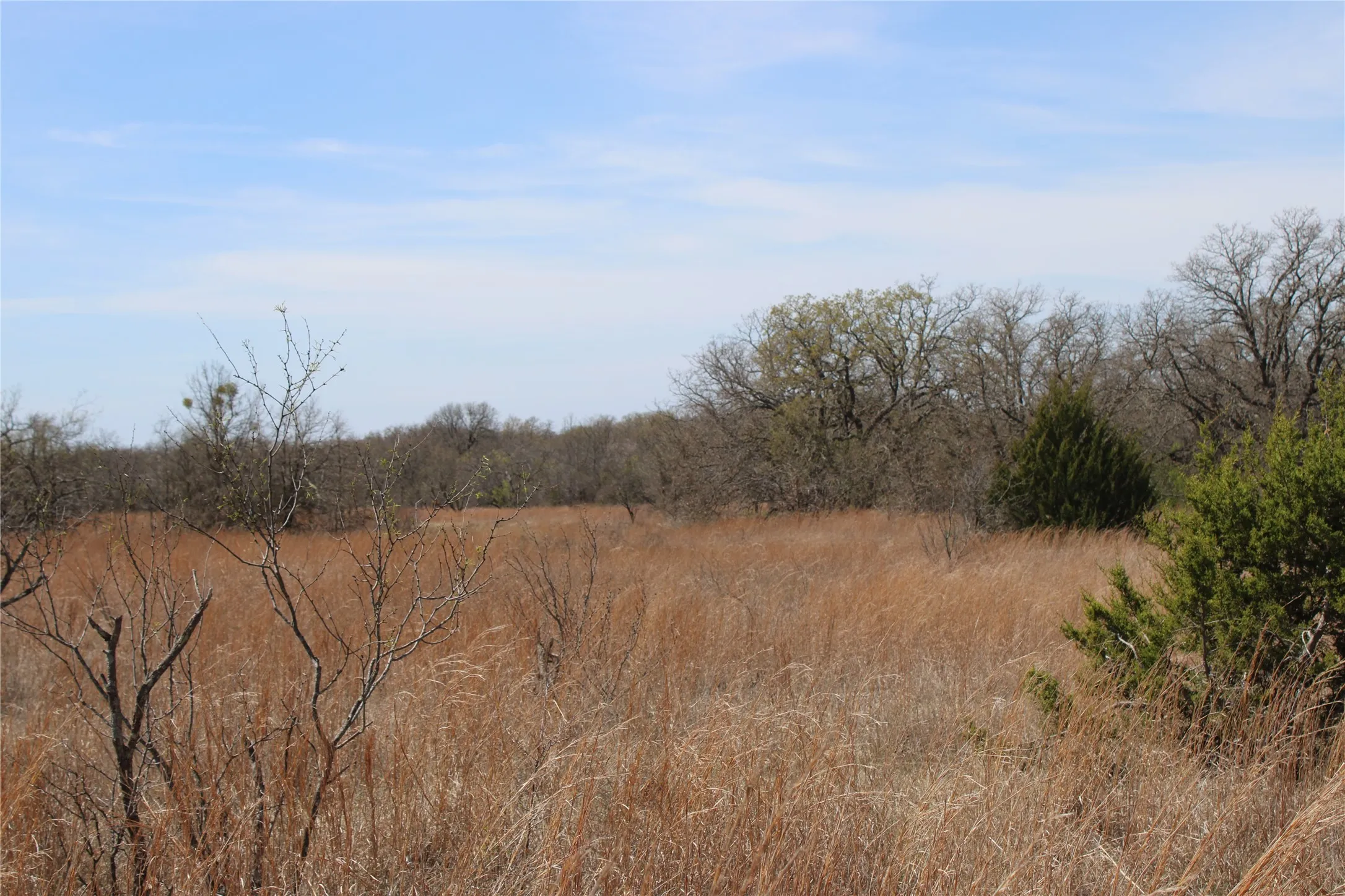 Unimproved Land For Sale in Jack County , 13 AC N Mason, Perrin, Texas 78486, 0, 0, Garage spaces, 0 Sqft, built in 0, mls#21217112, Real Estate Agent in Perrin, Homes For Sale in Jack county, Homes For Sale in Perrin, Realtor in Perrin Texas, Real Estate Brokerage Independent Realty Texas, Luminita Cordes Realtor