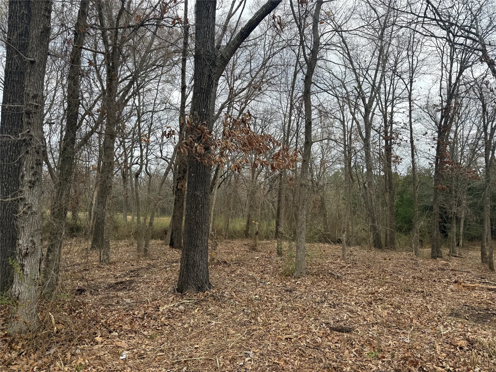 Unimproved Land For Sale in Van Zandt County , TBD (lot 8) Florence Street, Grand Saline, Texas 75140, 0, 0, Garage spaces, 0 Sqft, built in 0, Price $17,000, mls#21217114, Real Estate Agent in Grand Saline, Homes For Sale in Van Zandt county, Homes For Sale in Grand Saline, Realtor in Grand Saline Texas, Real Estate Brokerage Independent Realty Texas, Luminita Cordes Realtor