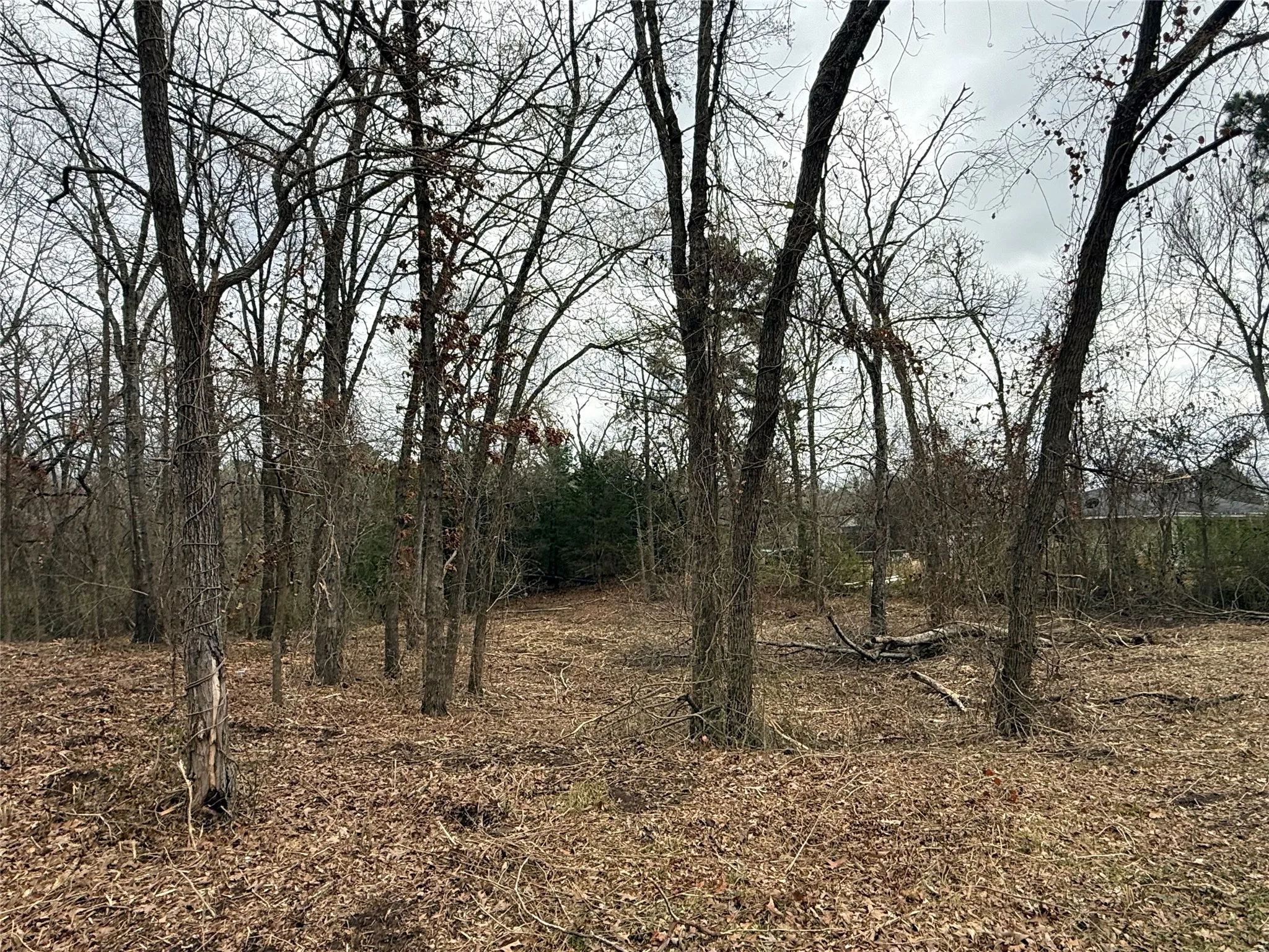 Unimproved Land For Sale in Van Zandt County , TBD (lot 8) Florence Street, Grand Saline, Texas 75140, 0, 0, Garage spaces, 0 Sqft, built in 0, Price $17,000, mls#21217114, Real Estate Agent in Grand Saline, Homes For Sale in Van Zandt county, Homes For Sale in Grand Saline, Realtor in Grand Saline Texas, Real Estate Brokerage Independent Realty Texas, Luminita Cordes Realtor