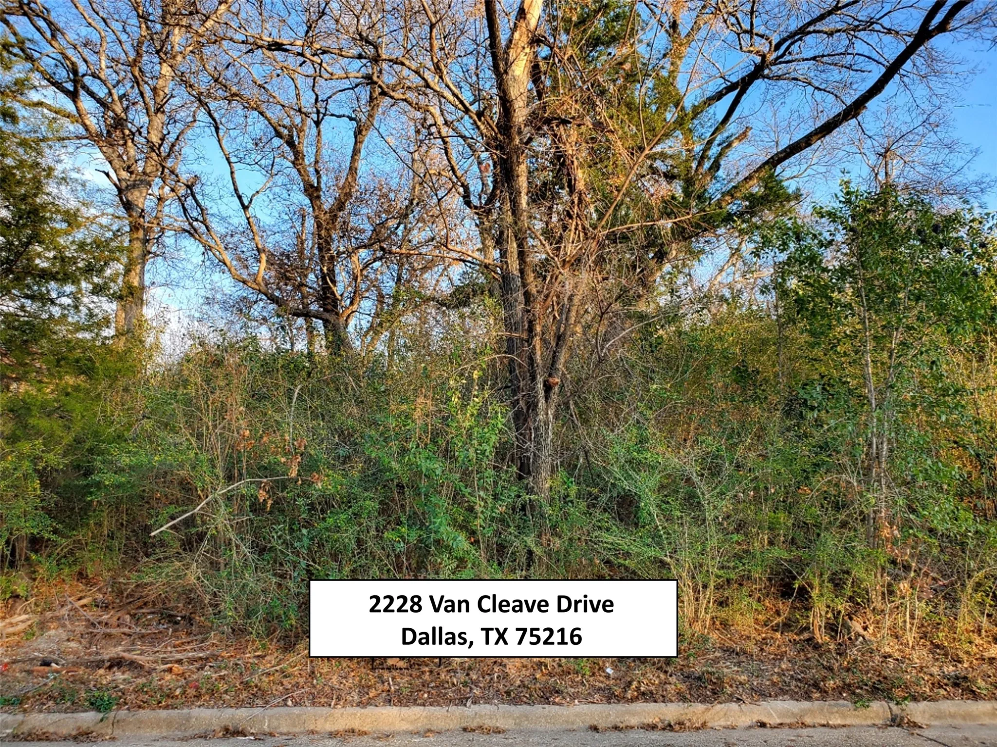 Unimproved Land For Sale in Dallas County , 2228 Van Cleave Drive, Dallas, Texas 75216, 0, 0, Garage spaces, 0 Sqft, built in 0, Price $119,900, mls#21213509, Real Estate Agent in Dallas, Homes For Sale in Dallas county, Homes For Sale in Dallas, Realtor in Dallas Texas, Real Estate Brokerage Independent Realty Texas, Luminita Cordes Realtor