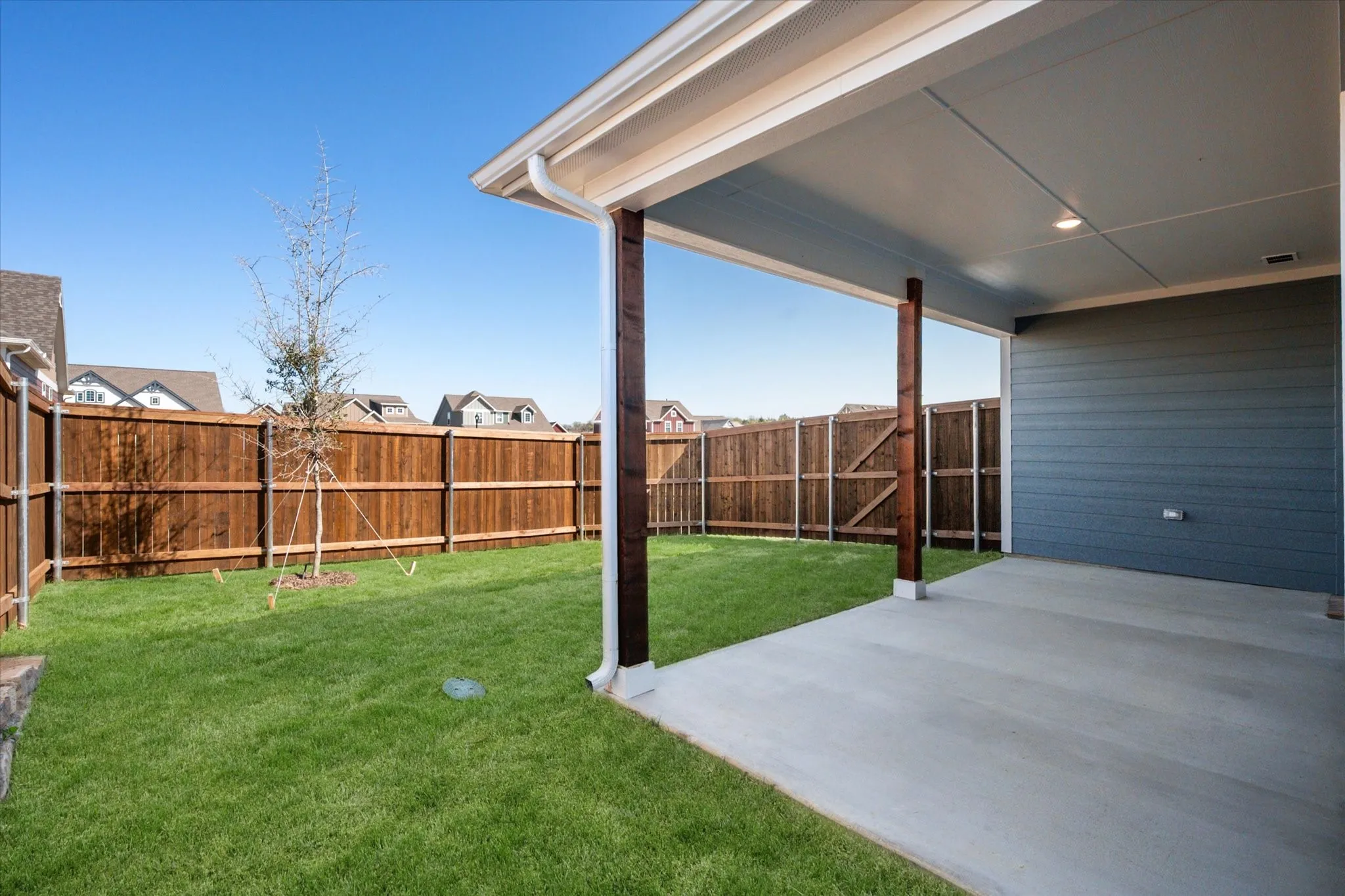 Backyard