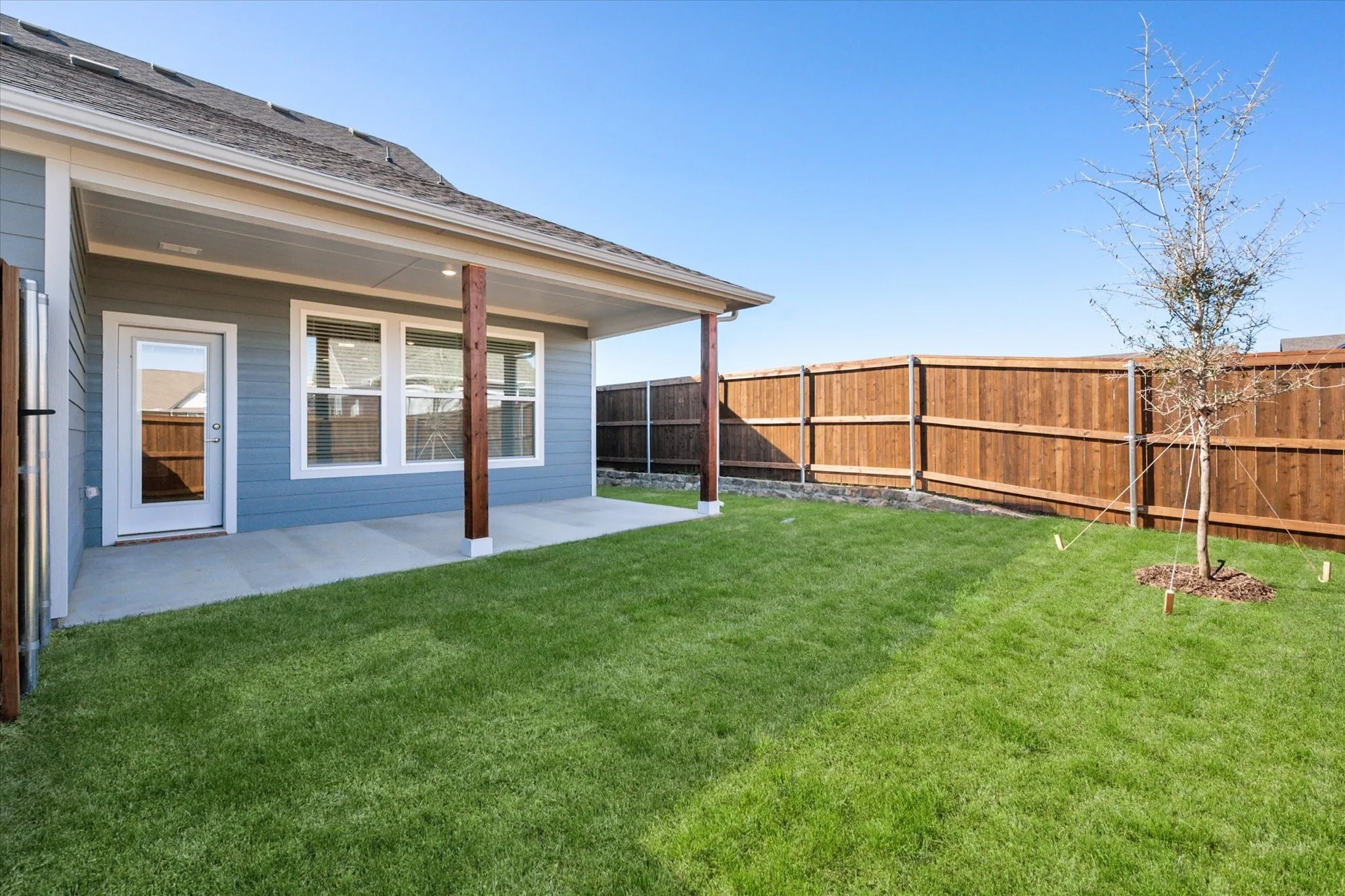 Backyard