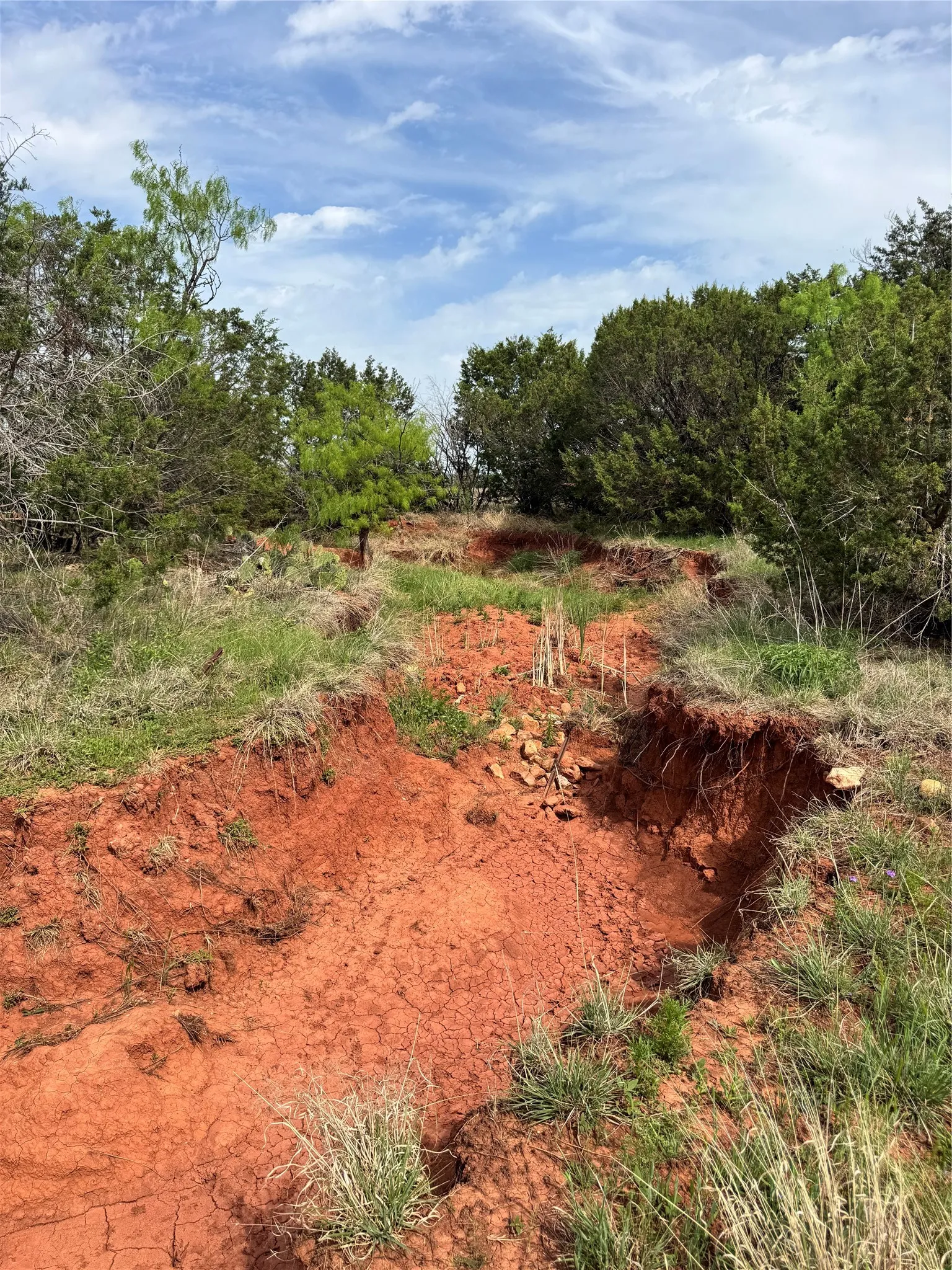 Ranch For Sale in Taylor County , TBD County Road 154, Tuscola, Texas 79562, 0, 0, Garage spaces, 0 Sqft, built in 0, Price $900,000, mls#21217244, Real Estate Agent in Tuscola, Homes For Sale in Taylor county, Homes For Sale in Tuscola, Realtor in Tuscola Texas, Real Estate Brokerage Independent Realty Texas, Luminita Cordes Realtor