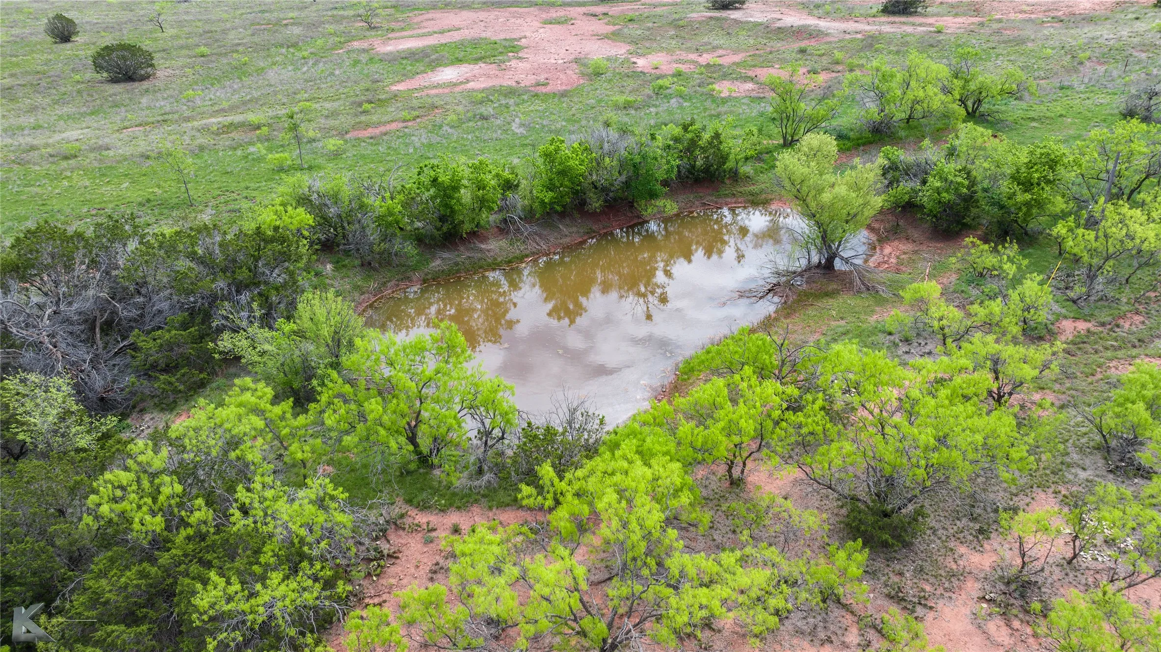 Ranch For Sale in Taylor County , TBD County Road 154, Tuscola, Texas 79562, 0, 0, Garage spaces, 0 Sqft, built in 0, Price $900,000, mls#21217244, Real Estate Agent in Tuscola, Homes For Sale in Taylor county, Homes For Sale in Tuscola, Realtor in Tuscola Texas, Real Estate Brokerage Independent Realty Texas, Luminita Cordes Realtor