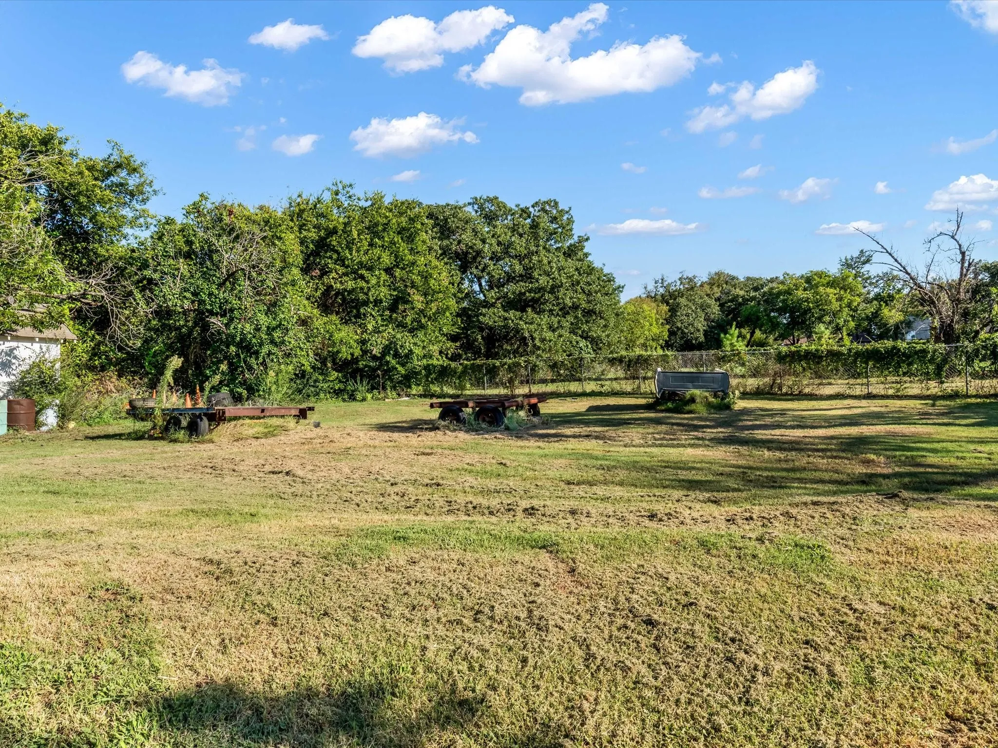 View of grassy yard