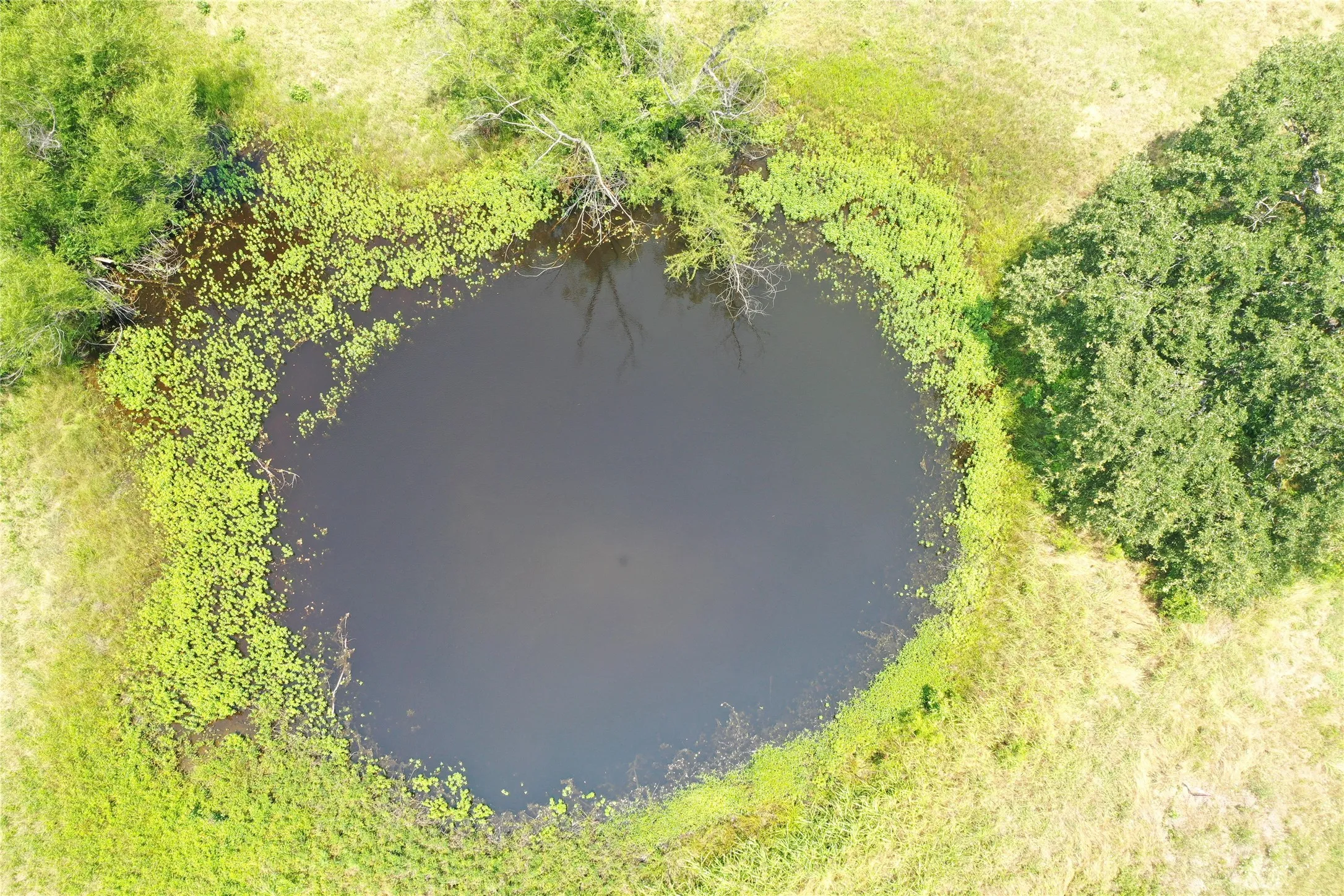 Unimproved Land For Sale in Henderson County , 381 Paddock Drive, Mabank, Texas 75156, 0, 0, Garage spaces, 0 Sqft, built in 0, mls#21216228, Real Estate Agent in Mabank, Homes For Sale in Henderson county, Homes For Sale in Mabank, Realtor in Mabank Texas, Real Estate Brokerage Independent Realty Texas, Luminita Cordes Realtor