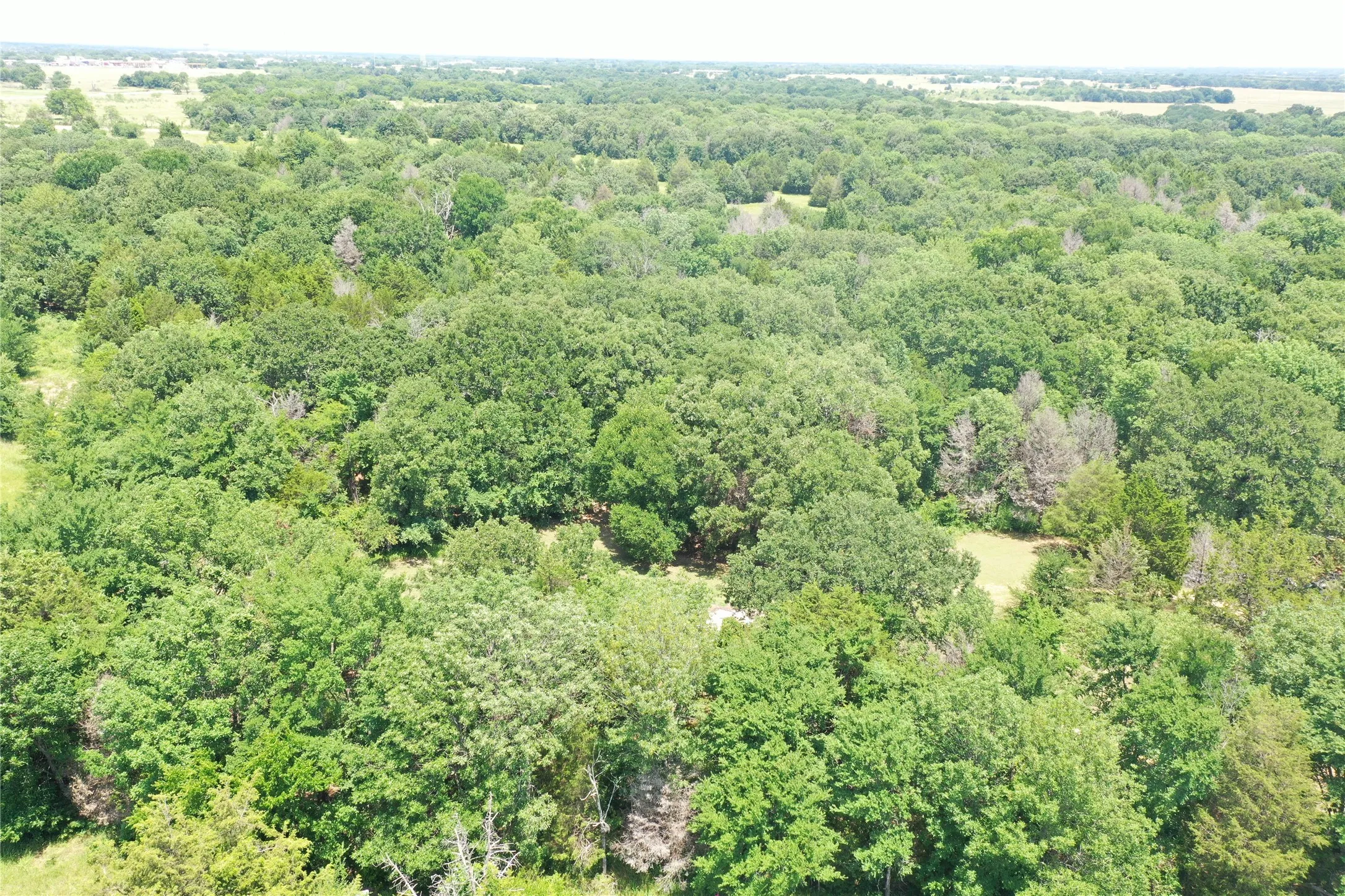 Unimproved Land For Sale in Henderson County , 381 Paddock Drive B, Mabank, Texas 75156, 0, 0, Garage spaces, 0 Sqft, built in 0, mls#21216343, Real Estate Agent in Mabank, Homes For Sale in Henderson county, Homes For Sale in Mabank, Realtor in Mabank Texas, Real Estate Brokerage Independent Realty Texas, Luminita Cordes Realtor