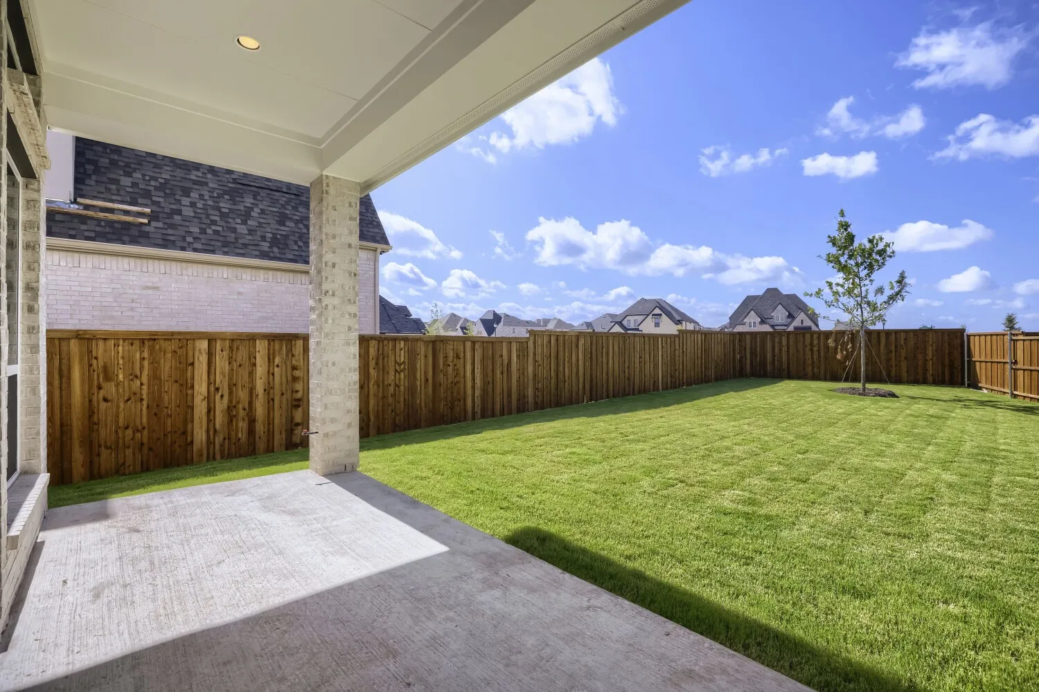Expansive backyard with a manicured lawn, a young tree, and a full privacy fence