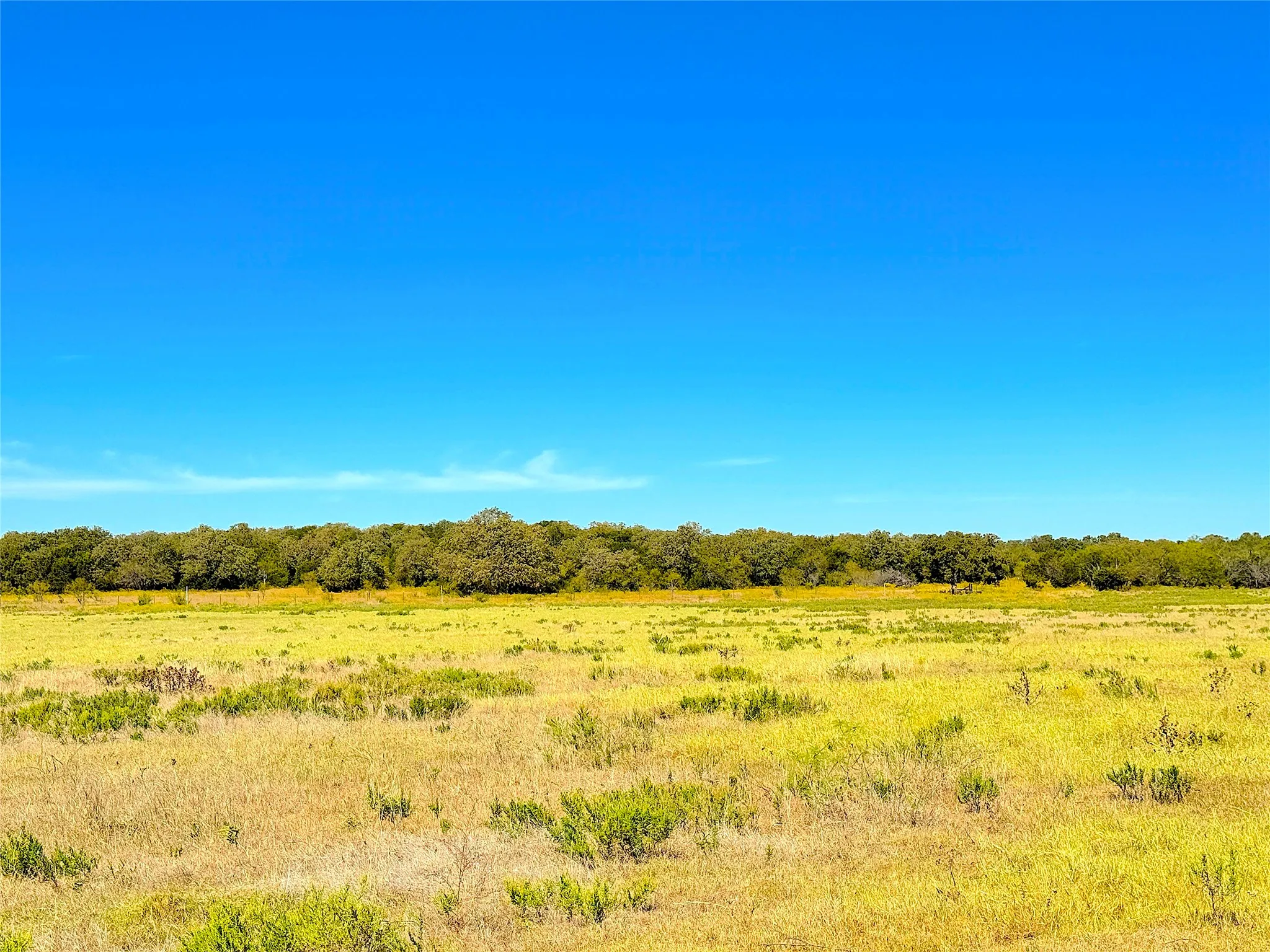Unimproved Land For Sale in Palo Pinto County , TBD Tract 3 Hayes Road, Mineral Wells, Texas 76067, 0, 0, Garage spaces, 0 Sqft, built in 0, mls#21217857, Real Estate Agent in Mineral Wells, Homes For Sale in Palo Pinto county, Homes For Sale in Mineral Wells, Realtor in Mineral Wells Texas, Real Estate Brokerage Independent Realty Texas, Luminita Cordes Realtor