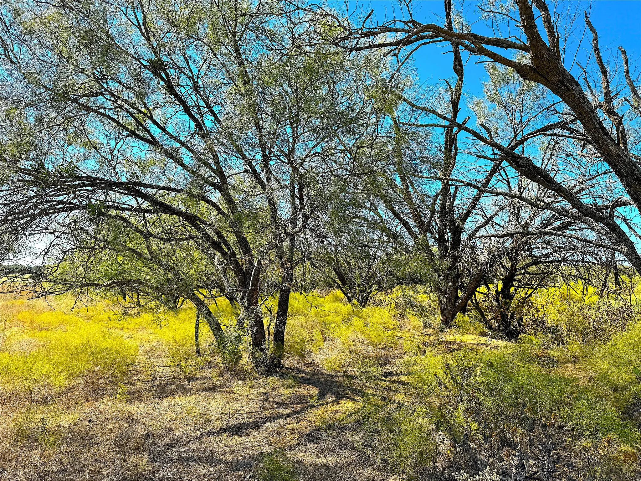 Unimproved Land For Sale in Palo Pinto County , TBD Tract 3 Hayes Road, Mineral Wells, Texas 76067, 0, 0, Garage spaces, 0 Sqft, built in 0, mls#21217857, Real Estate Agent in Mineral Wells, Homes For Sale in Palo Pinto county, Homes For Sale in Mineral Wells, Realtor in Mineral Wells Texas, Real Estate Brokerage Independent Realty Texas, Luminita Cordes Realtor