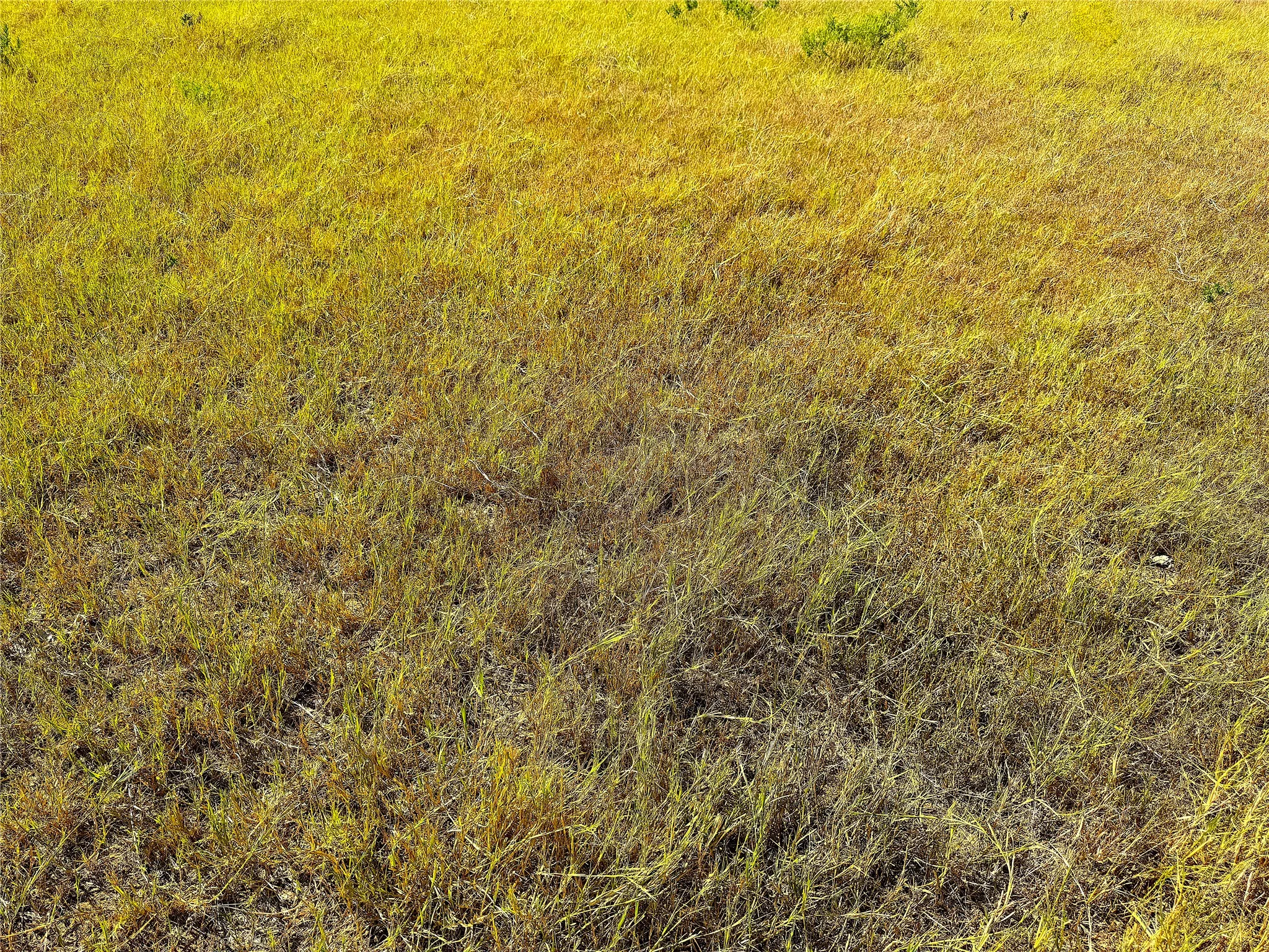 Unimproved Land For Sale in Palo Pinto County , TBD Tract 3 Hayes Road, Mineral Wells, Texas 76067, 0, 0, Garage spaces, 0 Sqft, built in 0, mls#21217857, Real Estate Agent in Mineral Wells, Homes For Sale in Palo Pinto county, Homes For Sale in Mineral Wells, Realtor in Mineral Wells Texas, Real Estate Brokerage Independent Realty Texas, Luminita Cordes Realtor