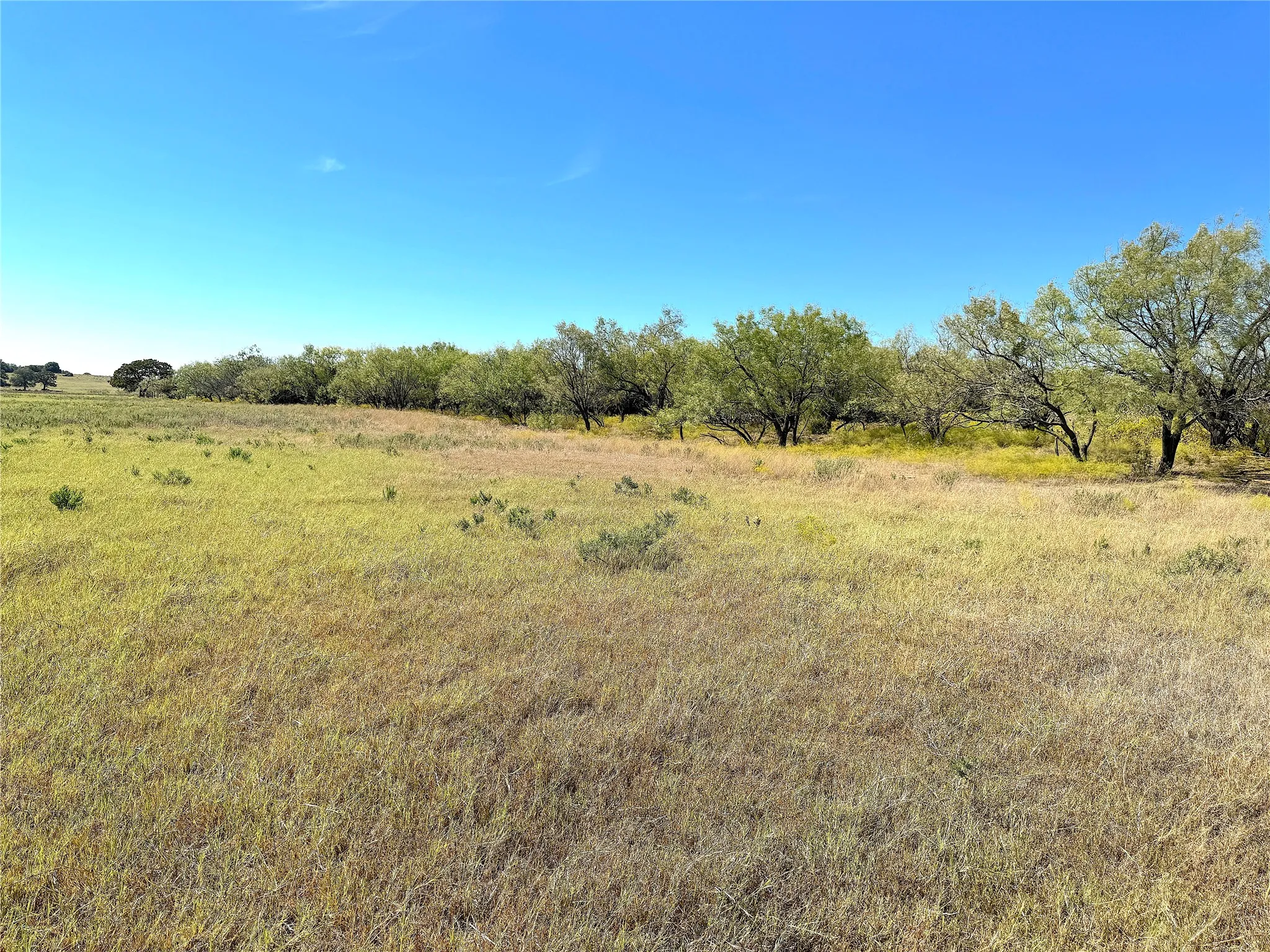 Unimproved Land For Sale in Palo Pinto County , TBD Tract 3 Hayes Road, Mineral Wells, Texas 76067, 0, 0, Garage spaces, 0 Sqft, built in 0, mls#21217857, Real Estate Agent in Mineral Wells, Homes For Sale in Palo Pinto county, Homes For Sale in Mineral Wells, Realtor in Mineral Wells Texas, Real Estate Brokerage Independent Realty Texas, Luminita Cordes Realtor