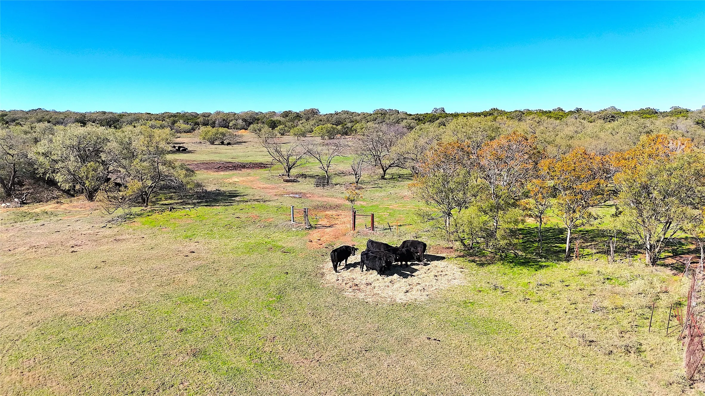Unimproved Land For Sale in Palo Pinto County , TBD Tract 3 Hayes Road, Mineral Wells, Texas 76067, 0, 0, Garage spaces, 0 Sqft, built in 0, mls#21217857, Real Estate Agent in Mineral Wells, Homes For Sale in Palo Pinto county, Homes For Sale in Mineral Wells, Realtor in Mineral Wells Texas, Real Estate Brokerage Independent Realty Texas, Luminita Cordes Realtor