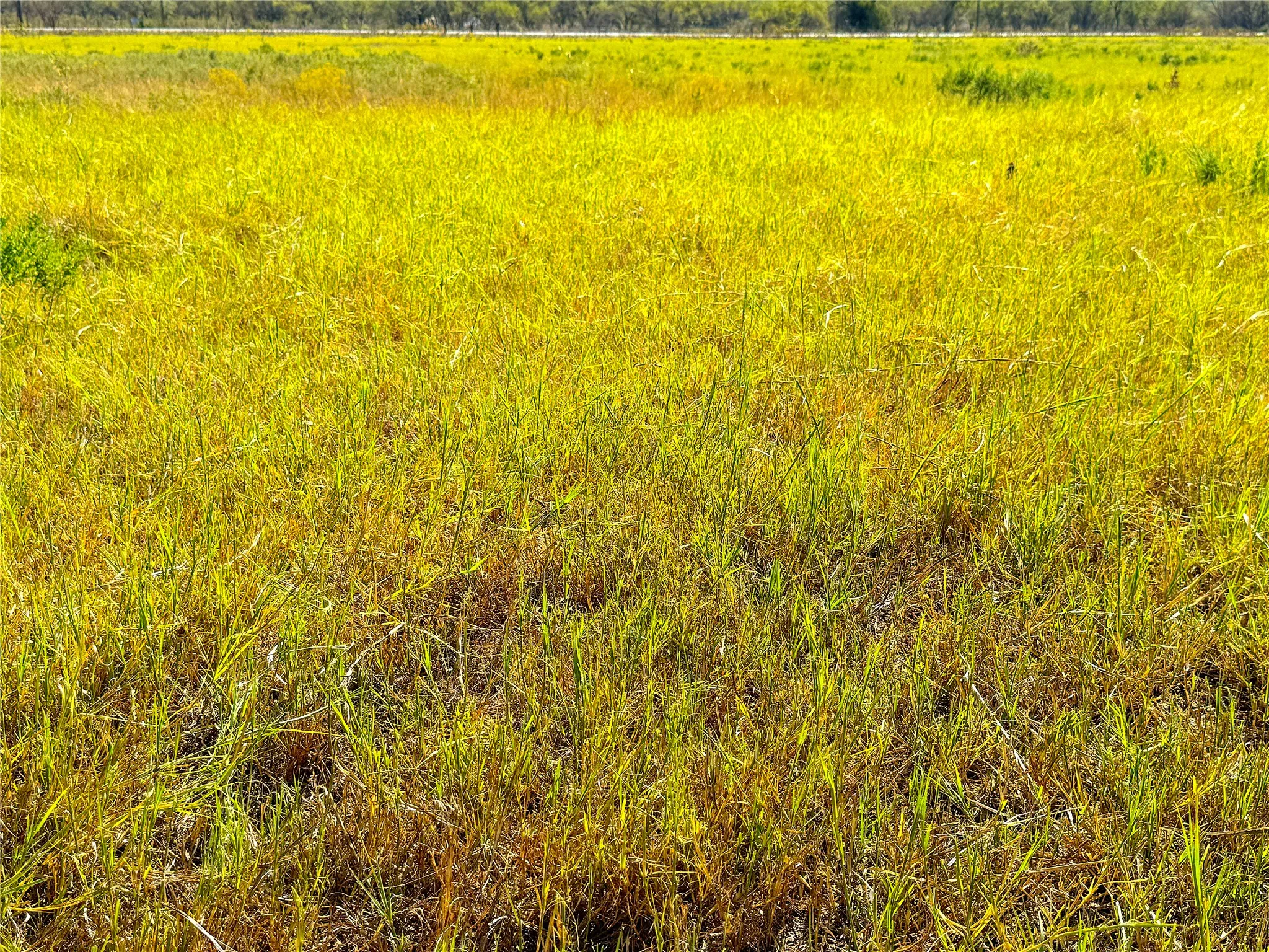 Unimproved Land For Sale in Palo Pinto County , TBD Tract 3 Hayes Road, Mineral Wells, Texas 76067, 0, 0, Garage spaces, 0 Sqft, built in 0, mls#21217857, Real Estate Agent in Mineral Wells, Homes For Sale in Palo Pinto county, Homes For Sale in Mineral Wells, Realtor in Mineral Wells Texas, Real Estate Brokerage Independent Realty Texas, Luminita Cordes Realtor