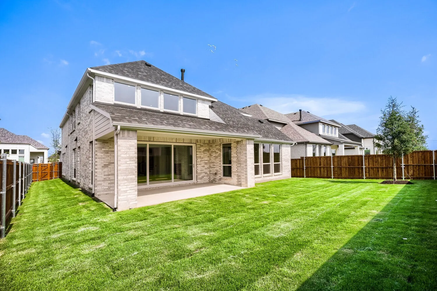 Expansive backyard featuring a concrete patio, a newly planted tree, and a stained wood privacy fence