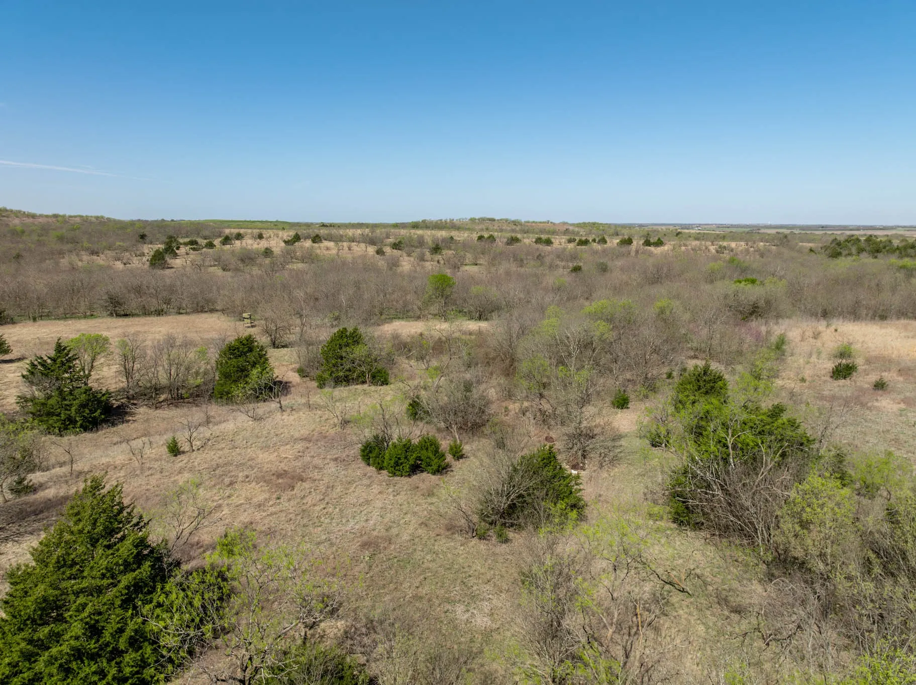Unimproved Land For Sale in Ellis County , 843 Lake Ridge Road, Avalon, Texas 76623, 0, 0, Garage spaces, 0 Sqft, built in 0, mls#21217269, Real Estate Agent in Avalon, Homes For Sale in Ellis county, Homes For Sale in Avalon, Realtor in Avalon Texas, Real Estate Brokerage Independent Realty Texas, Luminita Cordes Realtor