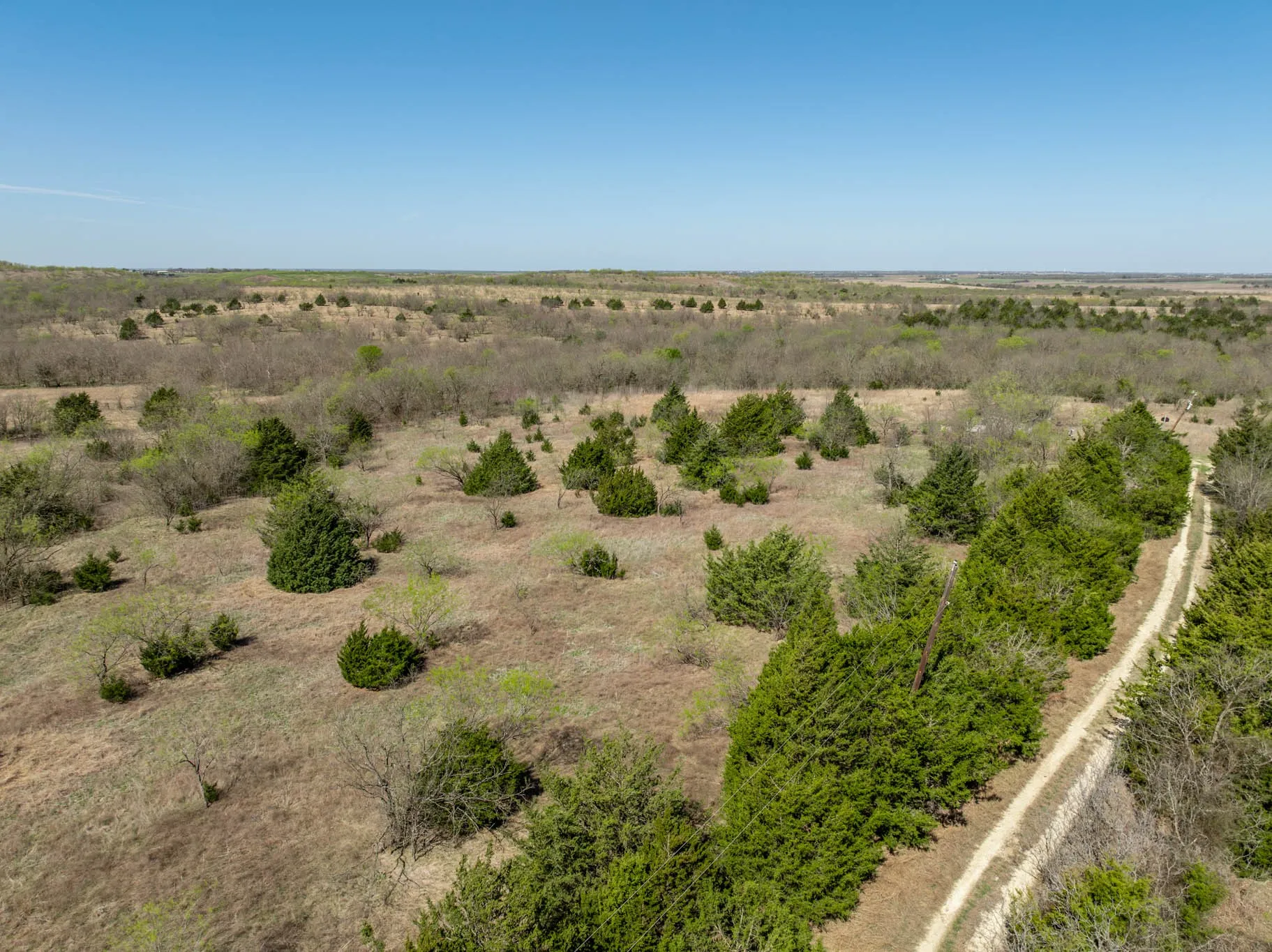 Unimproved Land For Sale in Ellis County , 843 Lake Ridge Road, Avalon, Texas 76623, 0, 0, Garage spaces, 0 Sqft, built in 0, mls#21217269, Real Estate Agent in Avalon, Homes For Sale in Ellis county, Homes For Sale in Avalon, Realtor in Avalon Texas, Real Estate Brokerage Independent Realty Texas, Luminita Cordes Realtor