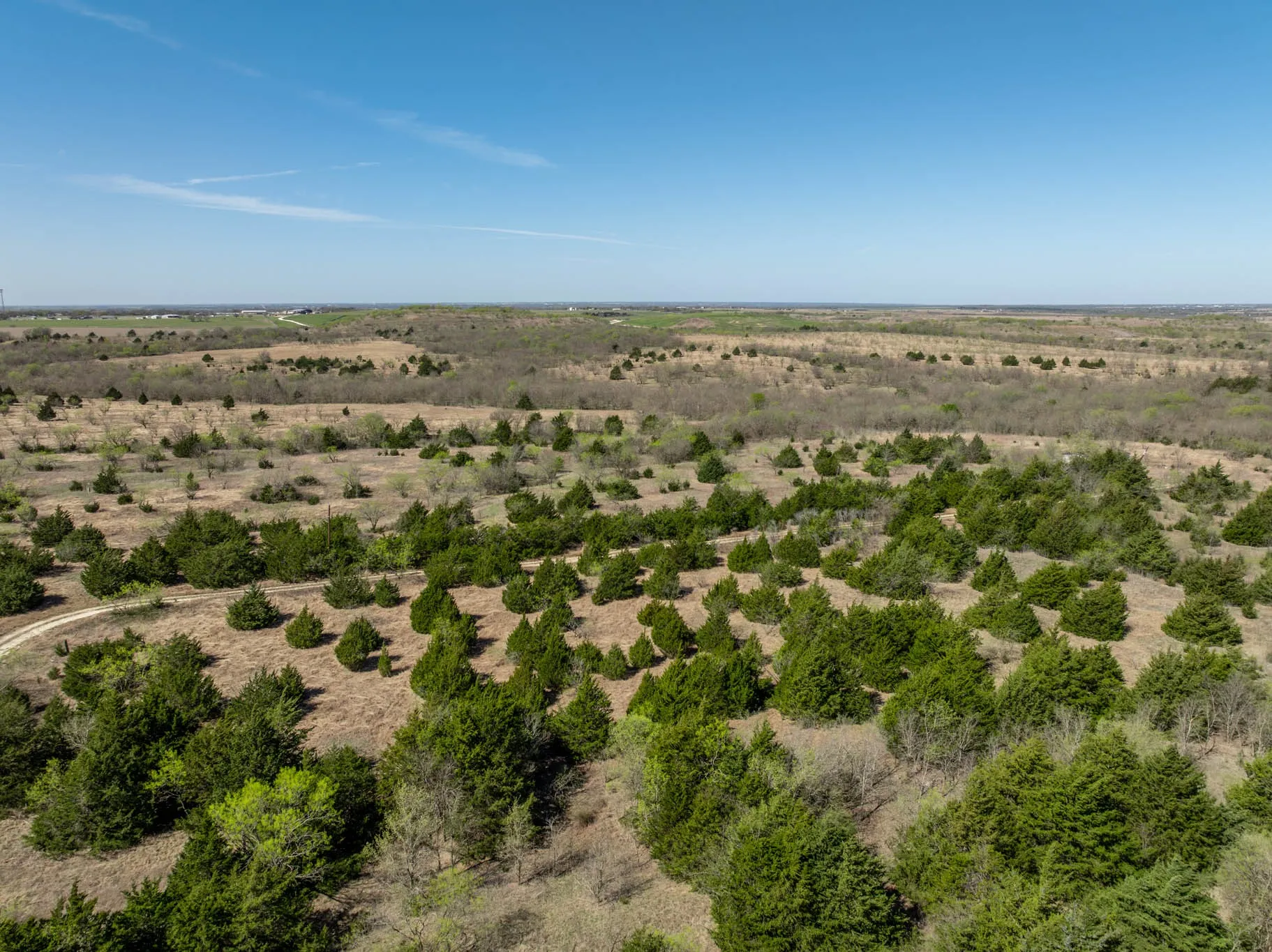 Unimproved Land For Sale in Ellis County , 843 Lake Ridge Road, Avalon, Texas 76623, 0, 0, Garage spaces, 0 Sqft, built in 0, mls#21217269, Real Estate Agent in Avalon, Homes For Sale in Ellis county, Homes For Sale in Avalon, Realtor in Avalon Texas, Real Estate Brokerage Independent Realty Texas, Luminita Cordes Realtor
