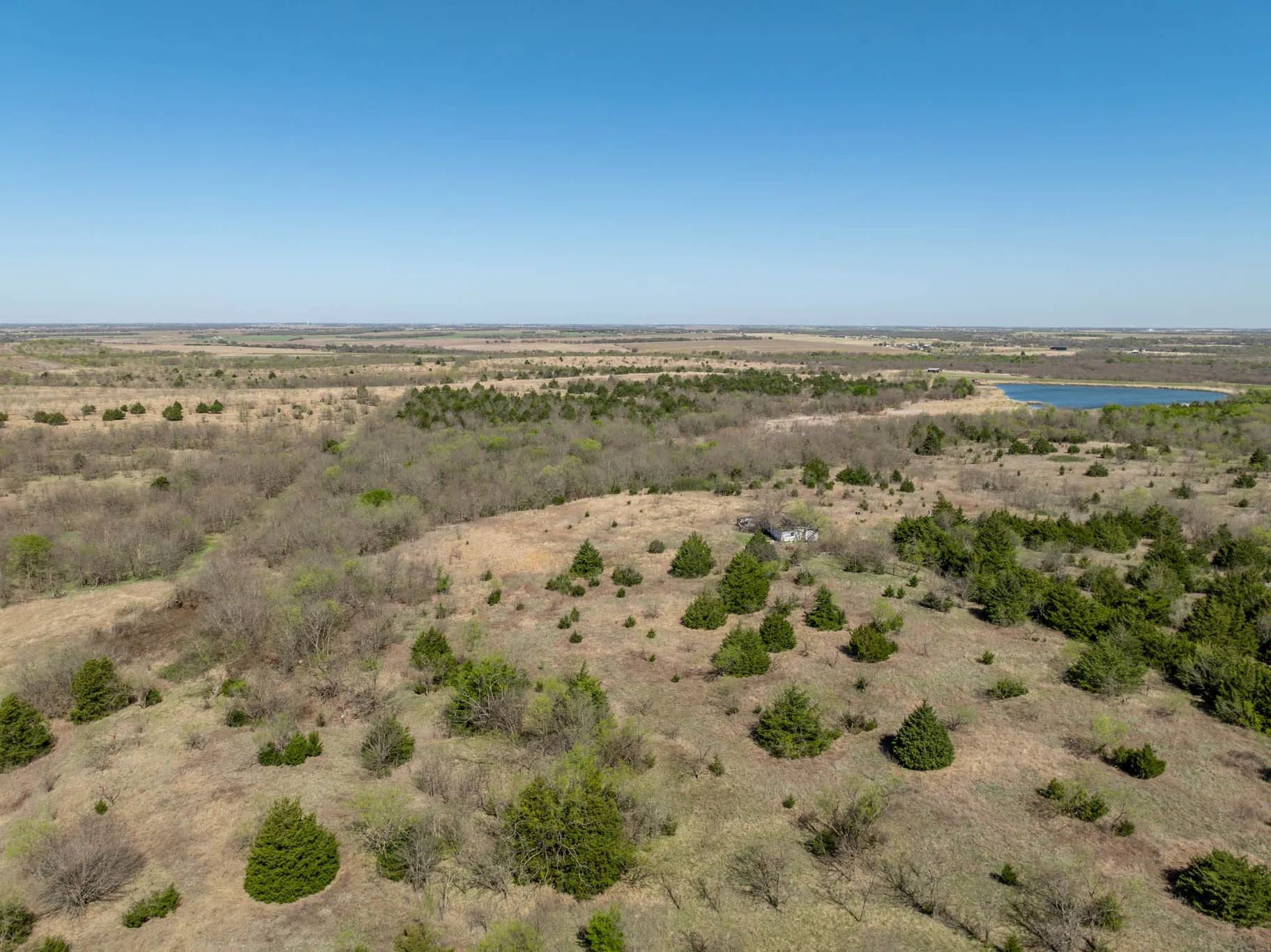 Unimproved Land For Sale in Ellis County , 843 Lake Ridge Road, Avalon, Texas 76623, 0, 0, Garage spaces, 0 Sqft, built in 0, mls#21217269, Real Estate Agent in Avalon, Homes For Sale in Ellis county, Homes For Sale in Avalon, Realtor in Avalon Texas, Real Estate Brokerage Independent Realty Texas, Luminita Cordes Realtor