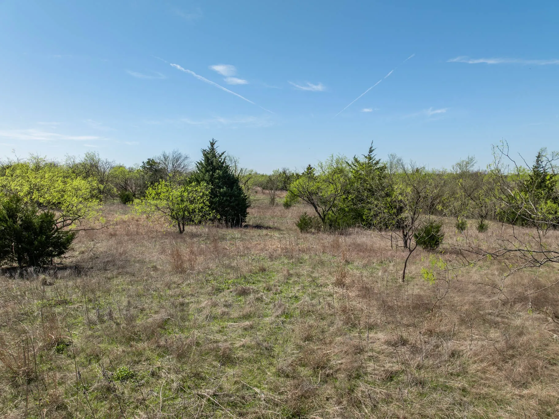 Unimproved Land For Sale in Ellis County , 843 Lake Ridge Road, Avalon, Texas 76623, 0, 0, Garage spaces, 0 Sqft, built in 0, mls#21217269, Real Estate Agent in Avalon, Homes For Sale in Ellis county, Homes For Sale in Avalon, Realtor in Avalon Texas, Real Estate Brokerage Independent Realty Texas, Luminita Cordes Realtor