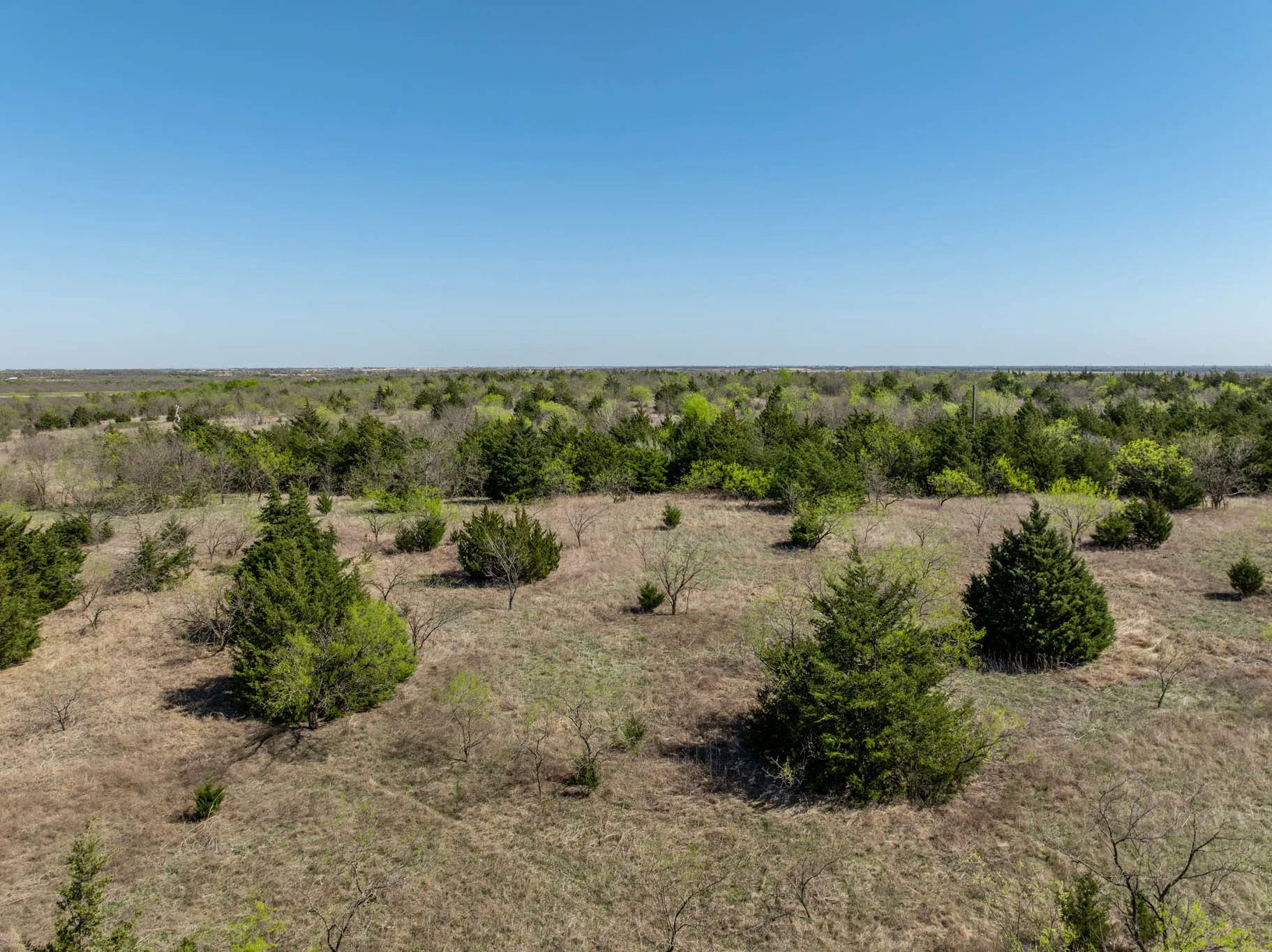 Unimproved Land For Sale in Ellis County , 843 Lake Ridge Road, Avalon, Texas 76623, 0, 0, Garage spaces, 0 Sqft, built in 0, mls#21217269, Real Estate Agent in Avalon, Homes For Sale in Ellis county, Homes For Sale in Avalon, Realtor in Avalon Texas, Real Estate Brokerage Independent Realty Texas, Luminita Cordes Realtor