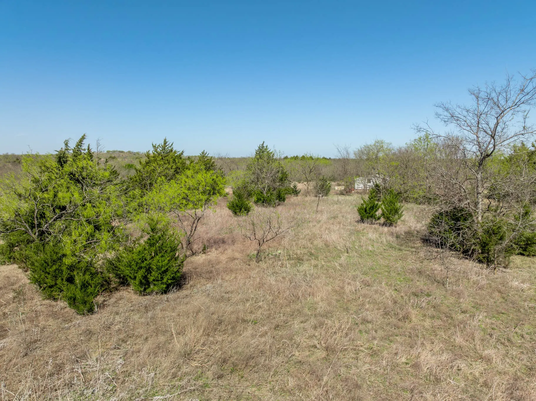 Unimproved Land For Sale in Ellis County , 843 Lake Ridge Road, Avalon, Texas 76623, 0, 0, Garage spaces, 0 Sqft, built in 0, mls#21217269, Real Estate Agent in Avalon, Homes For Sale in Ellis county, Homes For Sale in Avalon, Realtor in Avalon Texas, Real Estate Brokerage Independent Realty Texas, Luminita Cordes Realtor