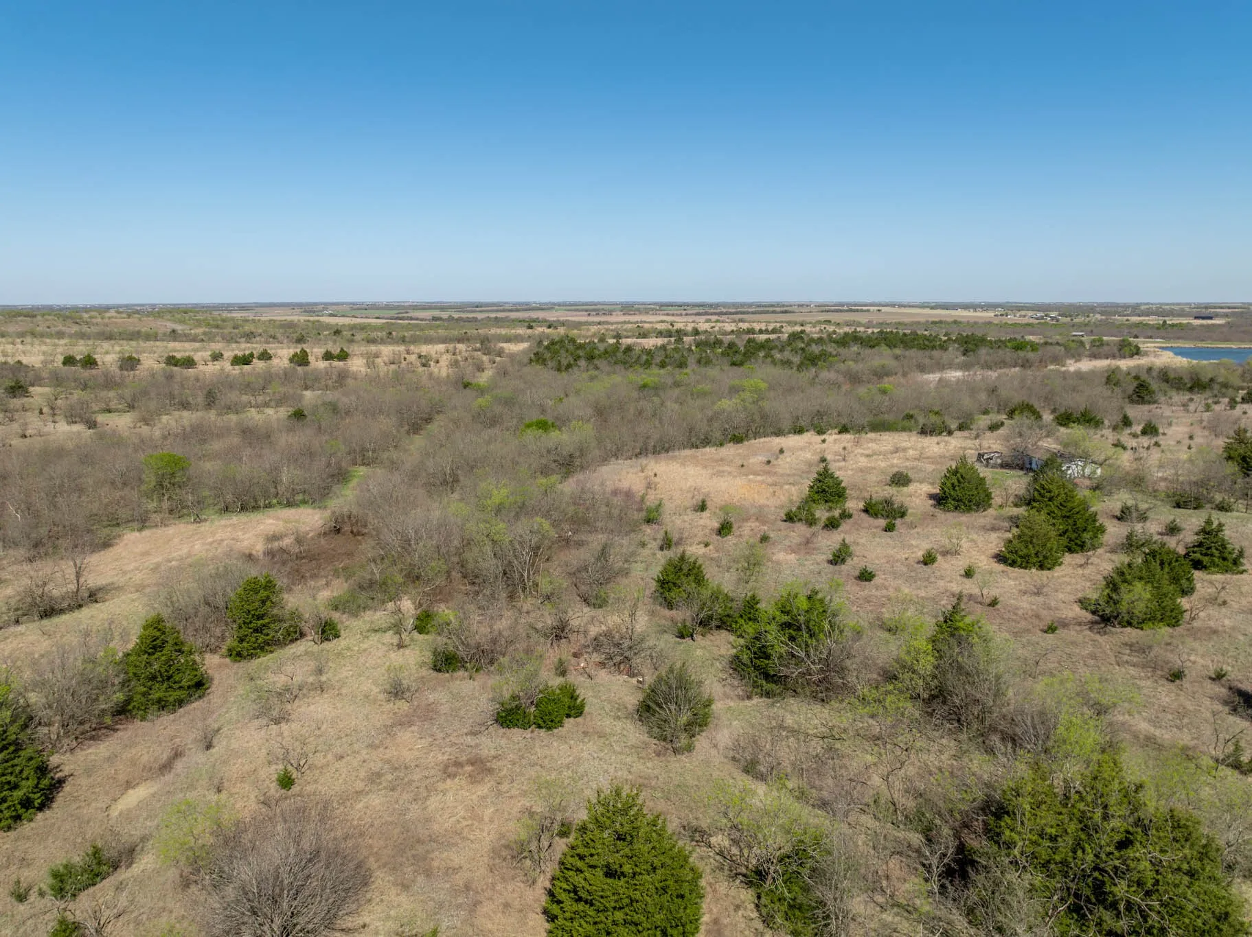 Unimproved Land For Sale in Ellis County , 843 Lake Ridge Road, Avalon, Texas 76623, 0, 0, Garage spaces, 0 Sqft, built in 0, mls#21217269, Real Estate Agent in Avalon, Homes For Sale in Ellis county, Homes For Sale in Avalon, Realtor in Avalon Texas, Real Estate Brokerage Independent Realty Texas, Luminita Cordes Realtor