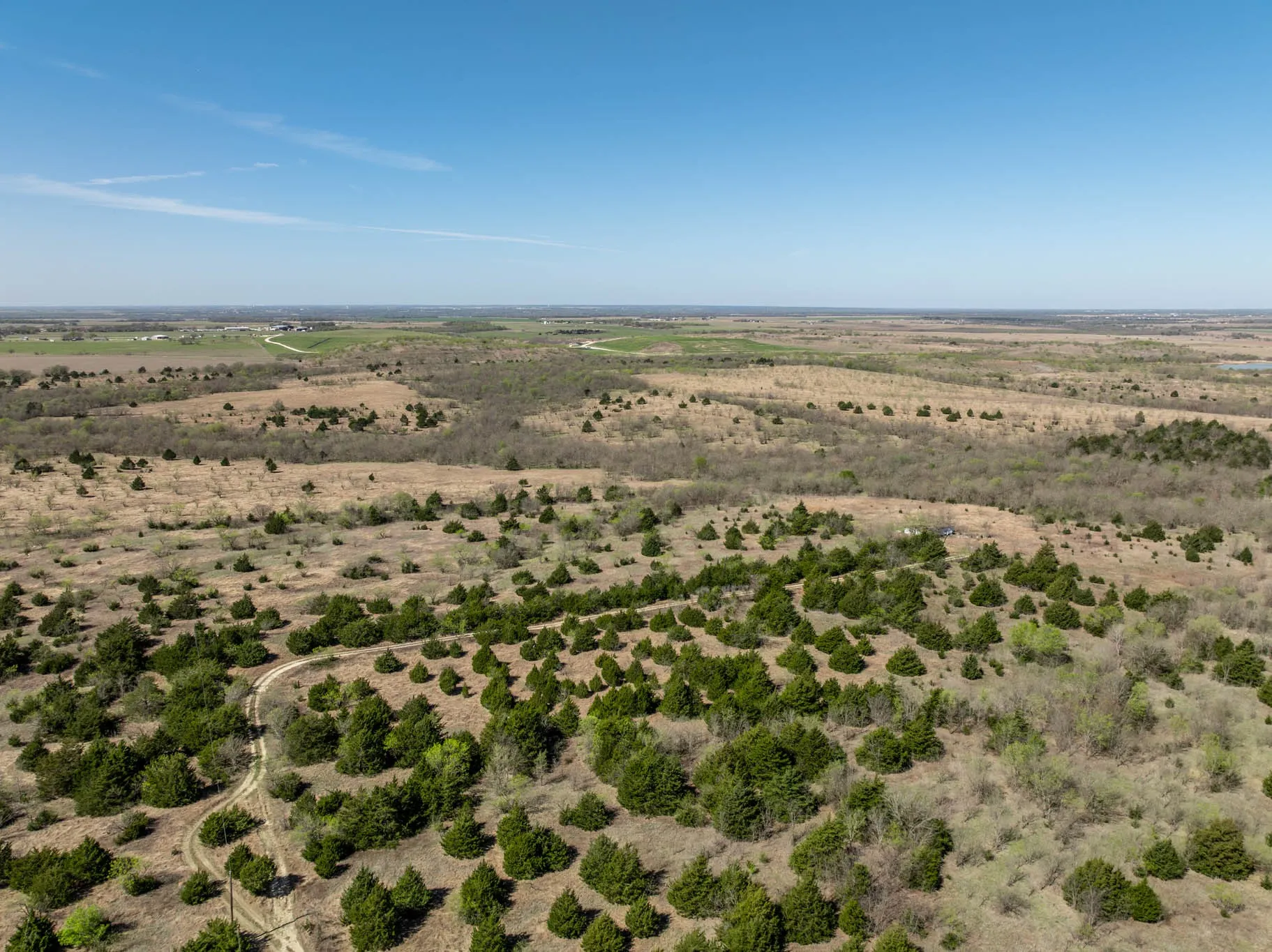 Unimproved Land For Sale in Ellis County , 843 Lake Ridge Road, Avalon, Texas 76623, 0, 0, Garage spaces, 0 Sqft, built in 0, mls#21217269, Real Estate Agent in Avalon, Homes For Sale in Ellis county, Homes For Sale in Avalon, Realtor in Avalon Texas, Real Estate Brokerage Independent Realty Texas, Luminita Cordes Realtor