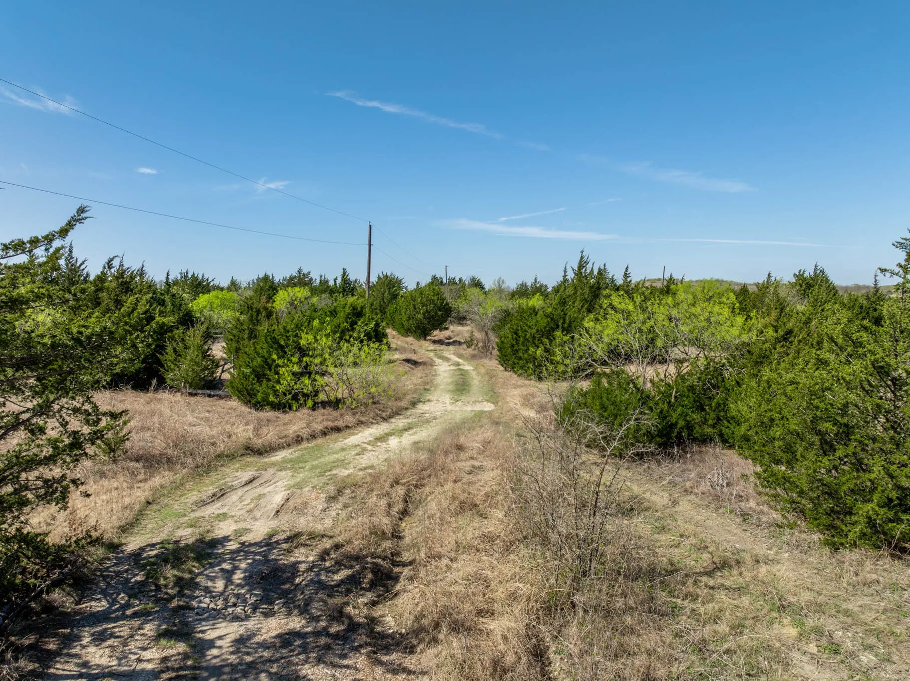 Unimproved Land For Sale in Ellis County , 843 Lake Ridge Road, Avalon, Texas 76623, 0, 0, Garage spaces, 0 Sqft, built in 0, mls#21217269, Real Estate Agent in Avalon, Homes For Sale in Ellis county, Homes For Sale in Avalon, Realtor in Avalon Texas, Real Estate Brokerage Independent Realty Texas, Luminita Cordes Realtor