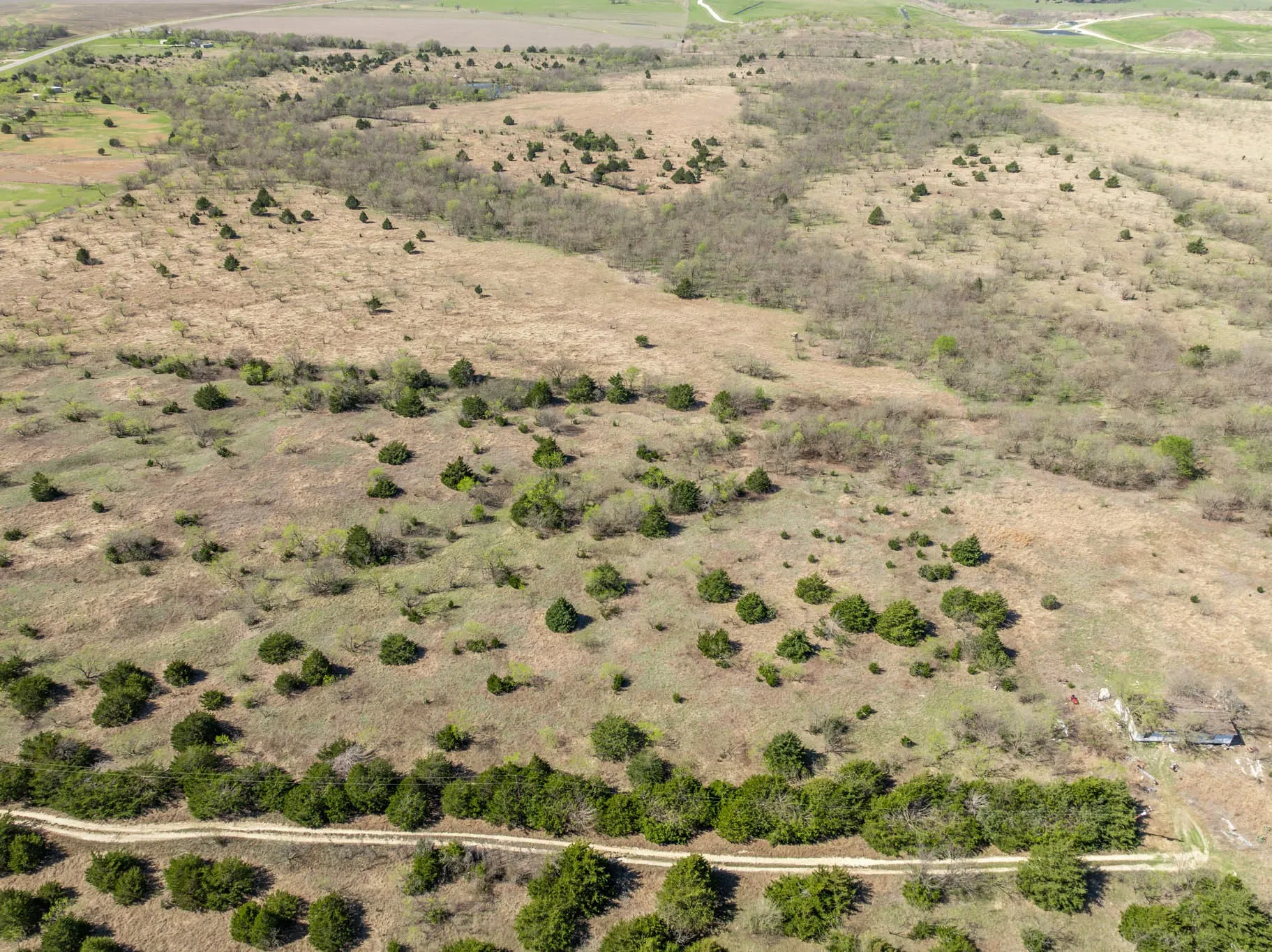 Unimproved Land For Sale in Ellis County , 843 Lake Ridge Road, Avalon, Texas 76623, 0, 0, Garage spaces, 0 Sqft, built in 0, mls#21217269, Real Estate Agent in Avalon, Homes For Sale in Ellis county, Homes For Sale in Avalon, Realtor in Avalon Texas, Real Estate Brokerage Independent Realty Texas, Luminita Cordes Realtor