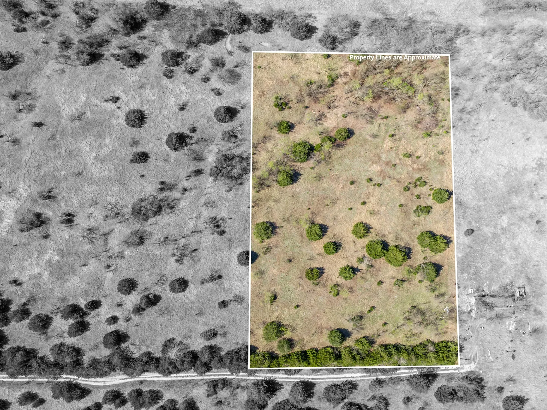 Unimproved Land For Sale in Ellis County , 843 Lake Ridge Road, Avalon, Texas 76623, 0, 0, Garage spaces, 0 Sqft, built in 0, mls#21217269, Real Estate Agent in Avalon, Homes For Sale in Ellis county, Homes For Sale in Avalon, Realtor in Avalon Texas, Real Estate Brokerage Independent Realty Texas, Luminita Cordes Realtor