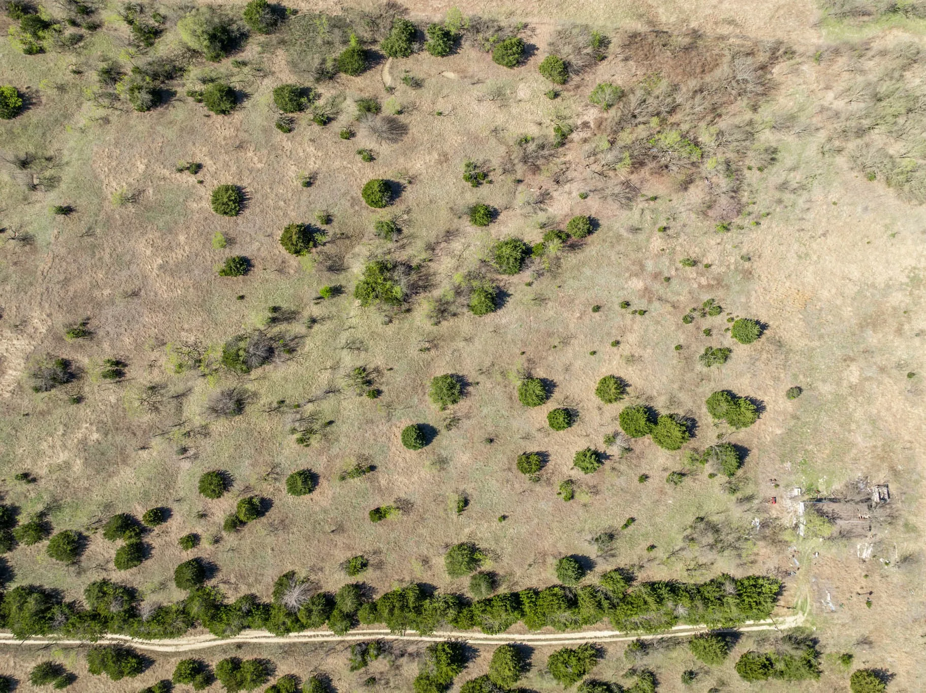 Unimproved Land For Sale in Ellis County , 843 Lake Ridge Road, Avalon, Texas 76623, 0, 0, Garage spaces, 0 Sqft, built in 0, mls#21217269, Real Estate Agent in Avalon, Homes For Sale in Ellis county, Homes For Sale in Avalon, Realtor in Avalon Texas, Real Estate Brokerage Independent Realty Texas, Luminita Cordes Realtor