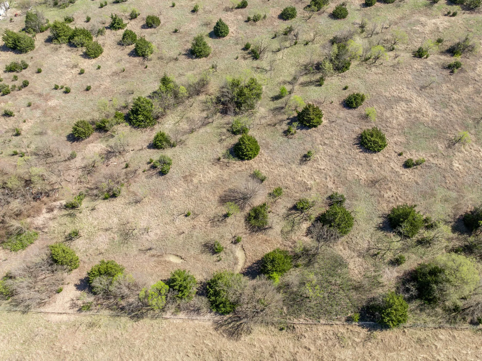 Unimproved Land For Sale in Ellis County , 843 Lake Ridge Road, Avalon, Texas 76623, 0, 0, Garage spaces, 0 Sqft, built in 0, mls#21217269, Real Estate Agent in Avalon, Homes For Sale in Ellis county, Homes For Sale in Avalon, Realtor in Avalon Texas, Real Estate Brokerage Independent Realty Texas, Luminita Cordes Realtor