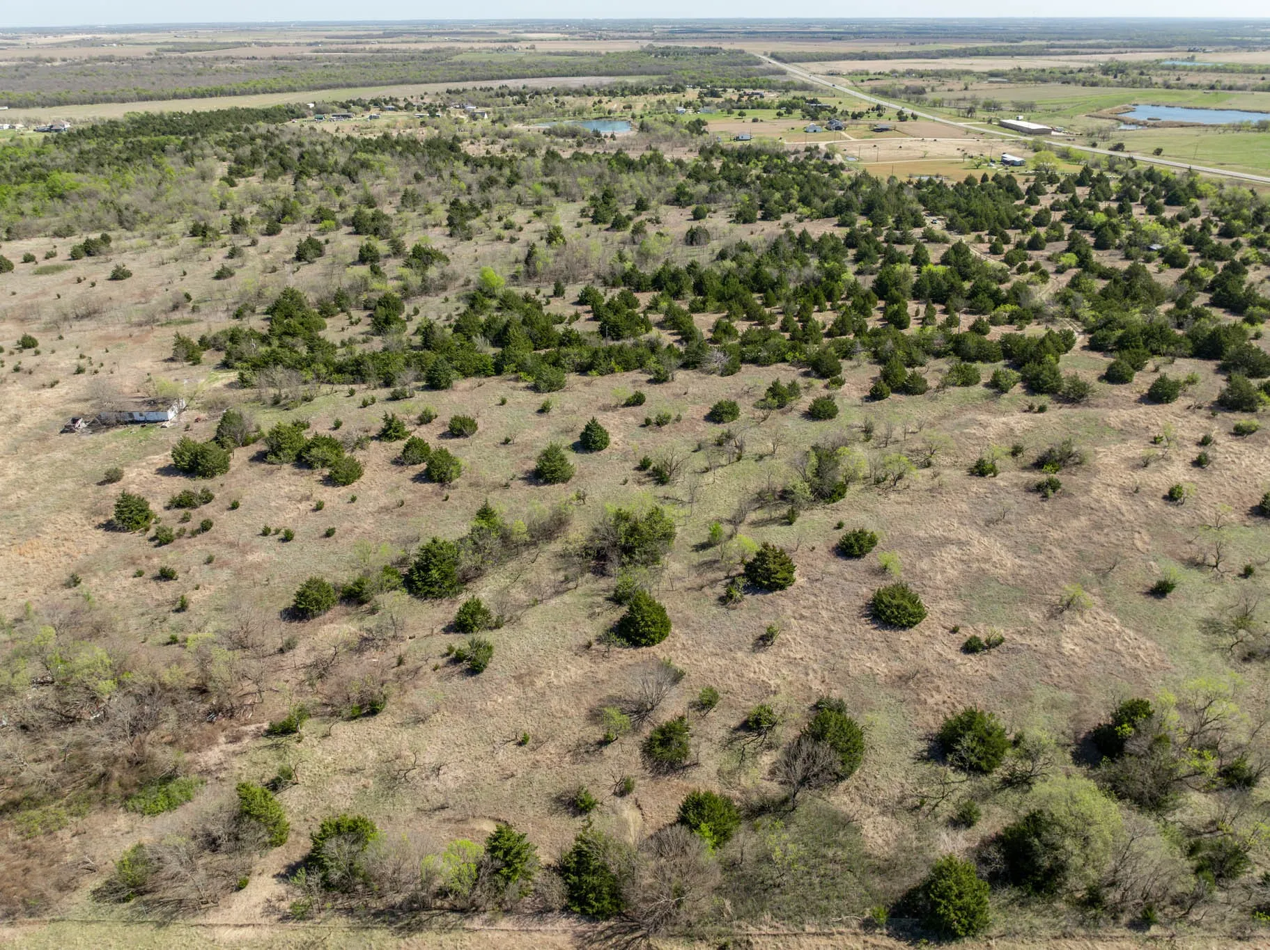 Unimproved Land For Sale in Ellis County , 843 Lake Ridge Road, Avalon, Texas 76623, 0, 0, Garage spaces, 0 Sqft, built in 0, mls#21217269, Real Estate Agent in Avalon, Homes For Sale in Ellis county, Homes For Sale in Avalon, Realtor in Avalon Texas, Real Estate Brokerage Independent Realty Texas, Luminita Cordes Realtor