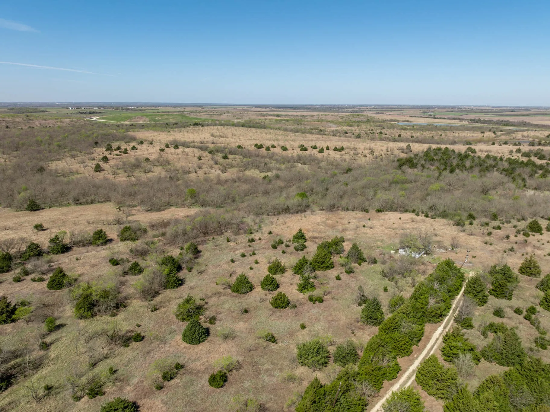 Unimproved Land For Sale in Ellis County , 843 Lake Ridge Road, Avalon, Texas 76623, 0, 0, Garage spaces, 0 Sqft, built in 0, mls#21217269, Real Estate Agent in Avalon, Homes For Sale in Ellis county, Homes For Sale in Avalon, Realtor in Avalon Texas, Real Estate Brokerage Independent Realty Texas, Luminita Cordes Realtor