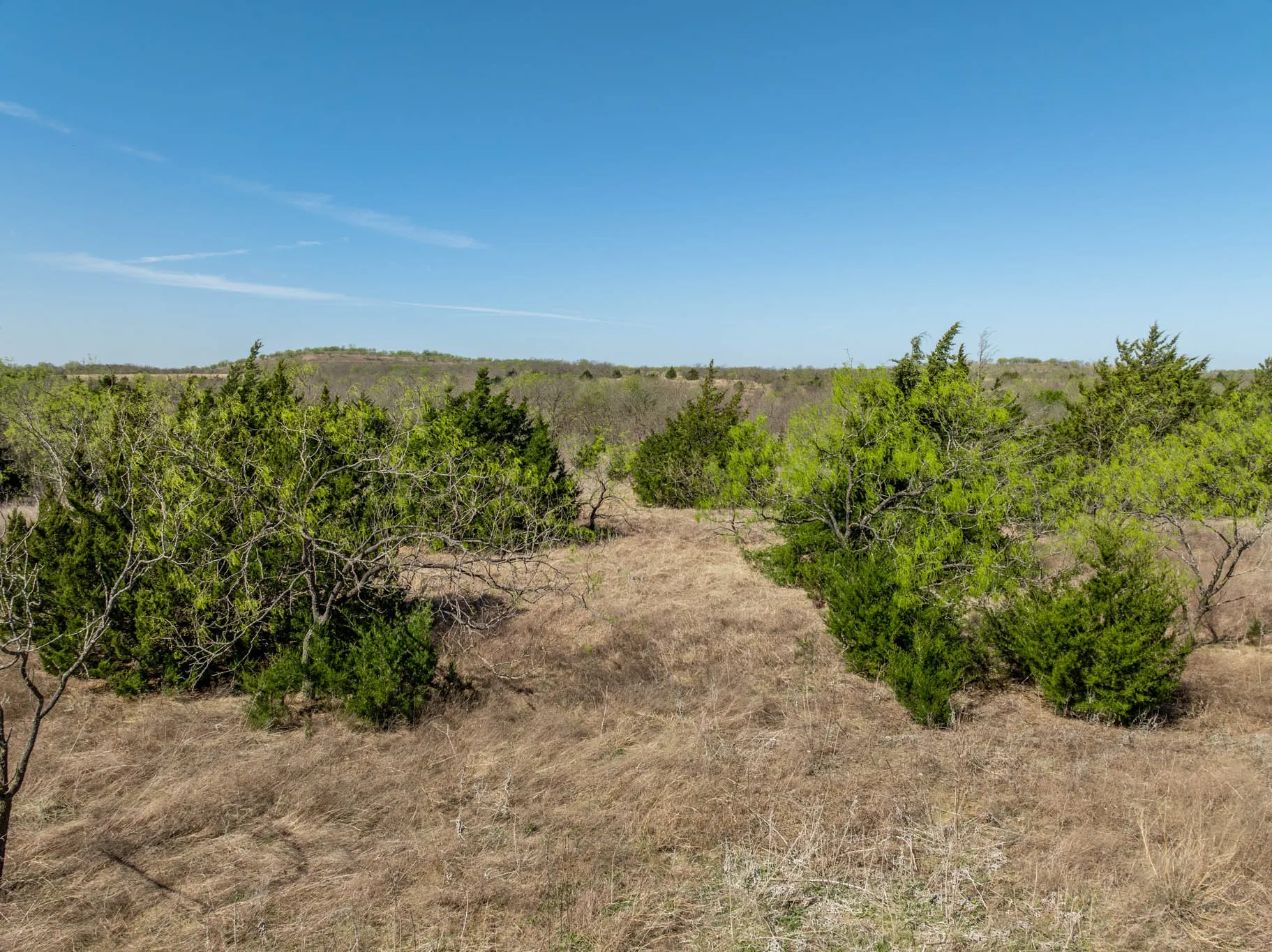 Unimproved Land For Sale in Ellis County , 843 Lake Ridge Road, Avalon, Texas 76623, 0, 0, Garage spaces, 0 Sqft, built in 0, mls#21217269, Real Estate Agent in Avalon, Homes For Sale in Ellis county, Homes For Sale in Avalon, Realtor in Avalon Texas, Real Estate Brokerage Independent Realty Texas, Luminita Cordes Realtor