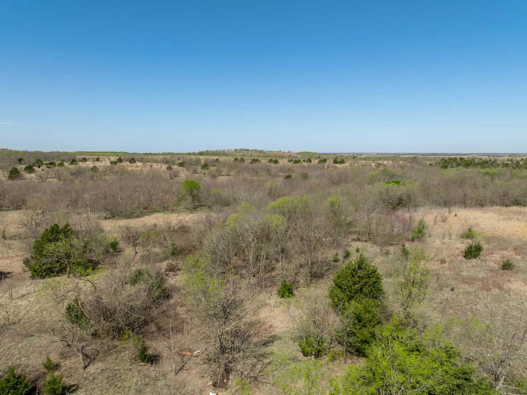 Unimproved Land For Sale in Ellis County , 843 Lake Ridge Road, Avalon, Texas 76623, 0, 0, Garage spaces, 0 Sqft, built in 0, mls#21217269, Real Estate Agent in Avalon, Homes For Sale in Ellis county, Homes For Sale in Avalon, Realtor in Avalon Texas, Real Estate Brokerage Independent Realty Texas, Luminita Cordes Realtor