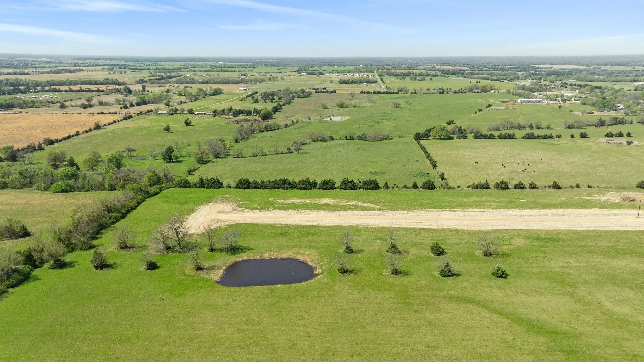 Improved Land For Sale in Lamar County , 80 PRIVATE ROAD 33263, Sumner, Texas 75486, 0, 0, Garage spaces, 0 Sqft, built in 0, mls#21217414, Real Estate Agent in Sumner, Homes For Sale in Lamar county, Homes For Sale in Sumner, Realtor in Sumner Texas, Real Estate Brokerage Independent Realty Texas, Luminita Cordes Realtor