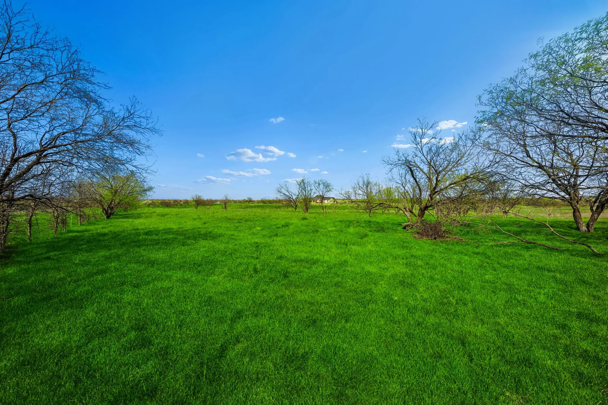 Improved Land For Sale in Denton County , 7660 N Evelyn Lane, Northlake, Texas 76226, 0, 0, Garage spaces, 0 Sqft, built in 0, mls#21208651, Real Estate Agent in Northlake, Homes For Sale in Denton county, Homes For Sale in Northlake, Realtor in Northlake Texas, Real Estate Brokerage Independent Realty Texas, Luminita Cordes Realtor