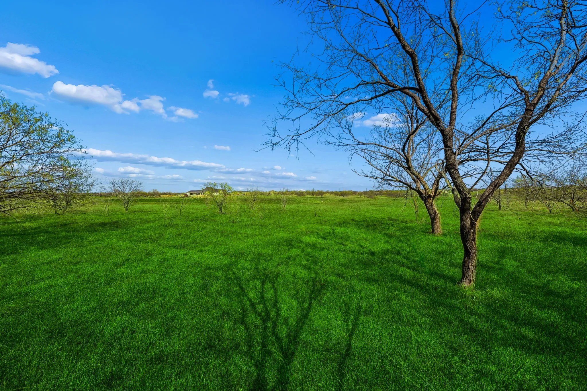 Improved Land For Sale in Denton County , 7660 N Evelyn Lane, Northlake, Texas 76226, 0, 0, Garage spaces, 0 Sqft, built in 0, mls#21208651, Real Estate Agent in Northlake, Homes For Sale in Denton county, Homes For Sale in Northlake, Realtor in Northlake Texas, Real Estate Brokerage Independent Realty Texas, Luminita Cordes Realtor