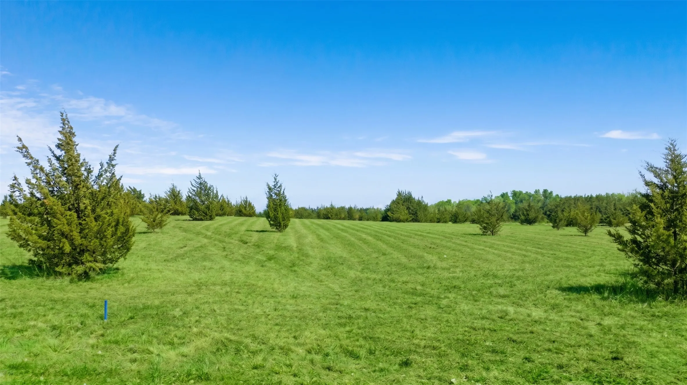 Improved Land For Sale in Lamar County , TBD LOT 1 COUNTY ROAD 43380, Paris, Texas 75462, 0, 0, Garage spaces, 0 Sqft, built in 0, Price $101,250, mls#21217578, Real Estate Agent in Paris, Homes For Sale in Lamar county, Homes For Sale in Paris, Realtor in Paris Texas, Real Estate Brokerage Independent Realty Texas, Luminita Cordes Realtor