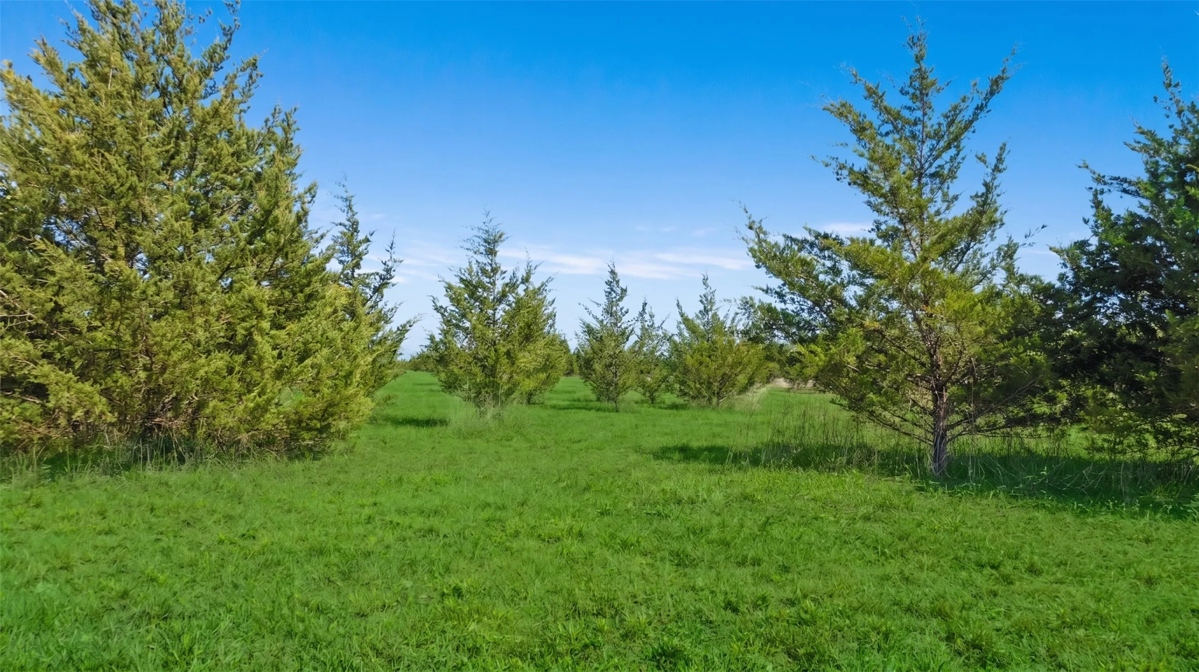 Improved Land For Sale in Lamar County , TBD LOT 1 COUNTY ROAD 43380, Paris, Texas 75462, 0, 0, Garage spaces, 0 Sqft, built in 0, Price $101,250, mls#21217578, Real Estate Agent in Paris, Homes For Sale in Lamar county, Homes For Sale in Paris, Realtor in Paris Texas, Real Estate Brokerage Independent Realty Texas, Luminita Cordes Realtor