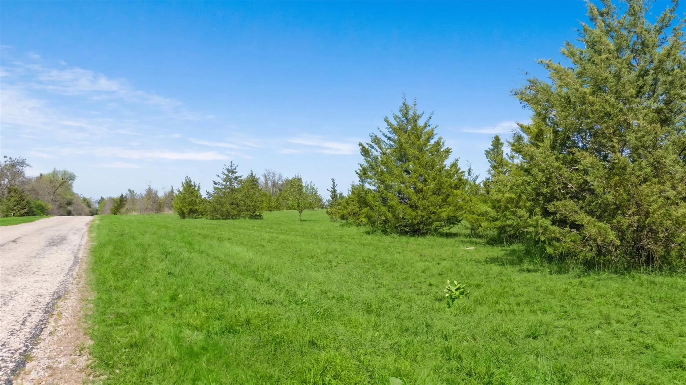 Improved Land For Sale in Lamar County , TBD LOT 1 COUNTY ROAD 43380, Paris, Texas 75462, 0, 0, Garage spaces, 0 Sqft, built in 0, Price $101,250, mls#21217578, Real Estate Agent in Paris, Homes For Sale in Lamar county, Homes For Sale in Paris, Realtor in Paris Texas, Real Estate Brokerage Independent Realty Texas, Luminita Cordes Realtor