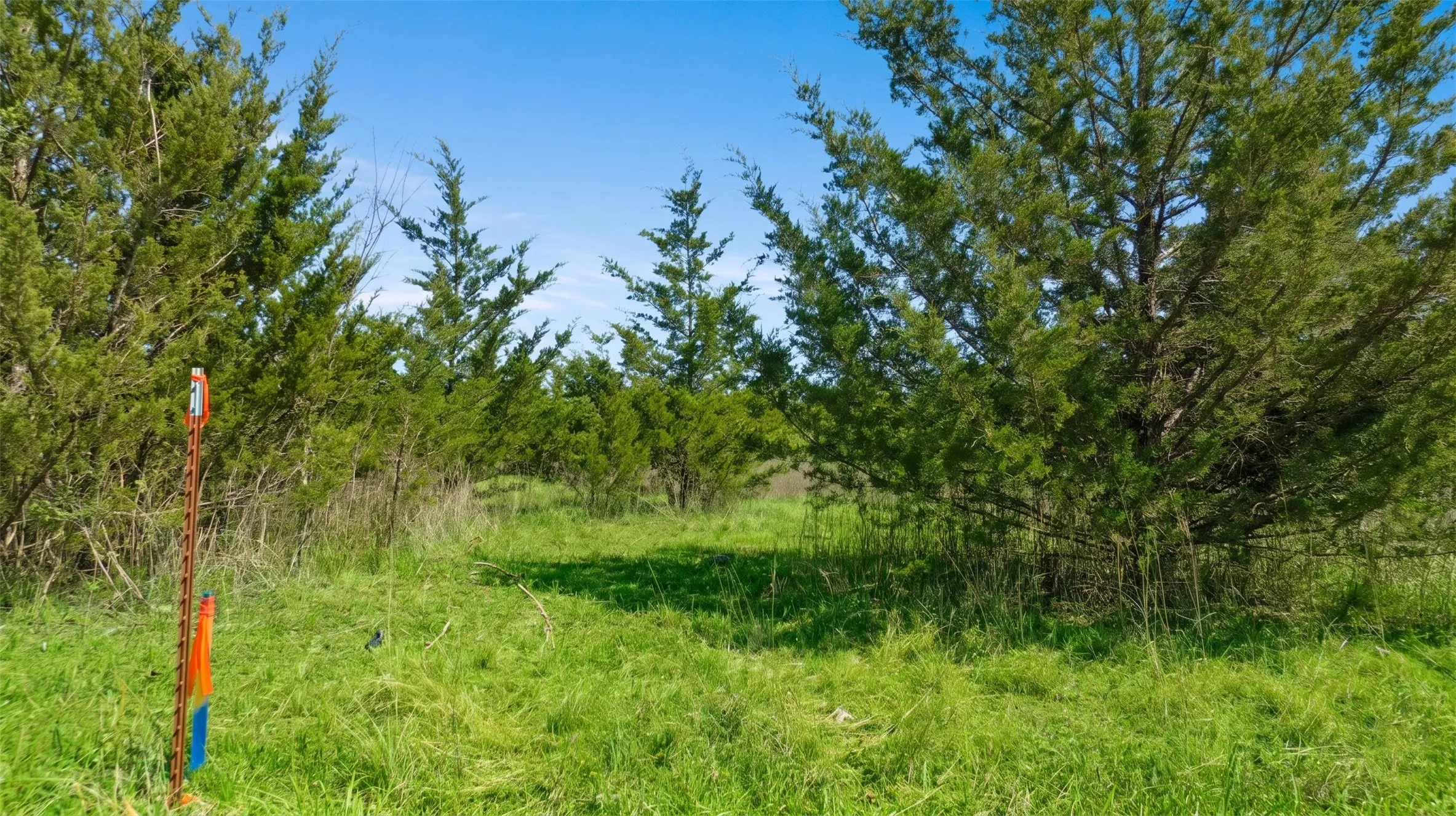 Improved Land For Sale in Lamar County , TBD LOT 1 COUNTY ROAD 43380, Paris, Texas 75462, 0, 0, Garage spaces, 0 Sqft, built in 0, Price $101,250, mls#21217578, Real Estate Agent in Paris, Homes For Sale in Lamar county, Homes For Sale in Paris, Realtor in Paris Texas, Real Estate Brokerage Independent Realty Texas, Luminita Cordes Realtor