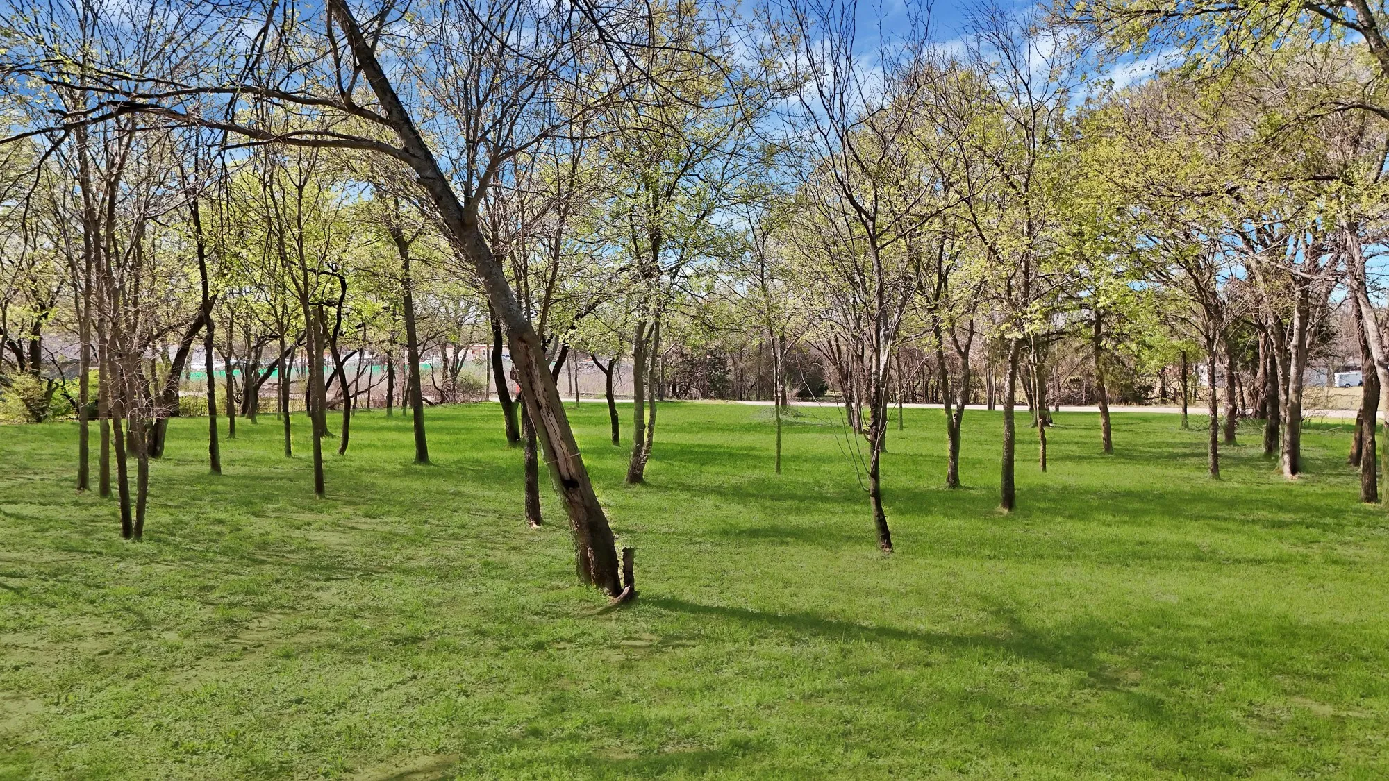 View of property's community