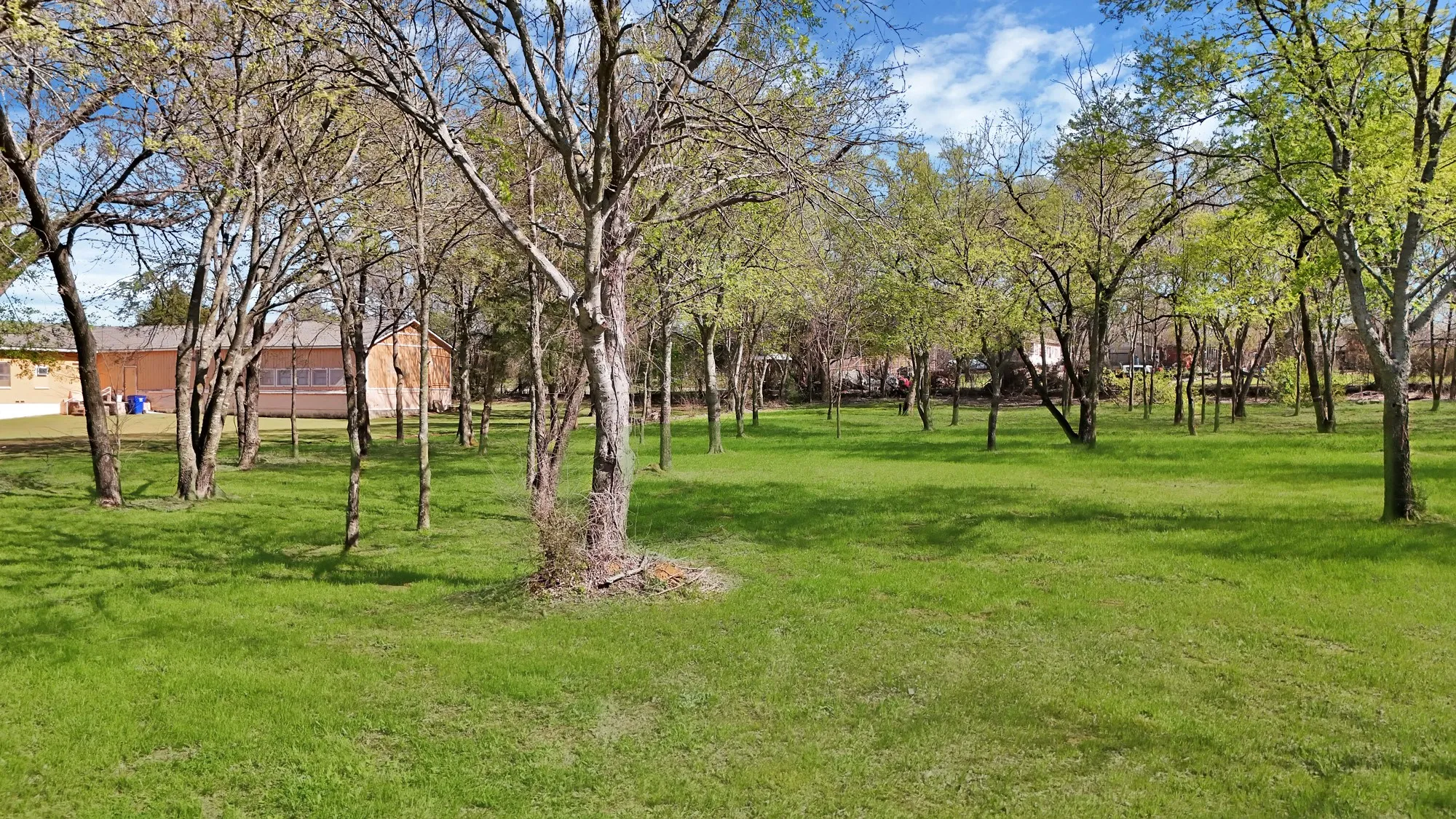 View of grassy yard
