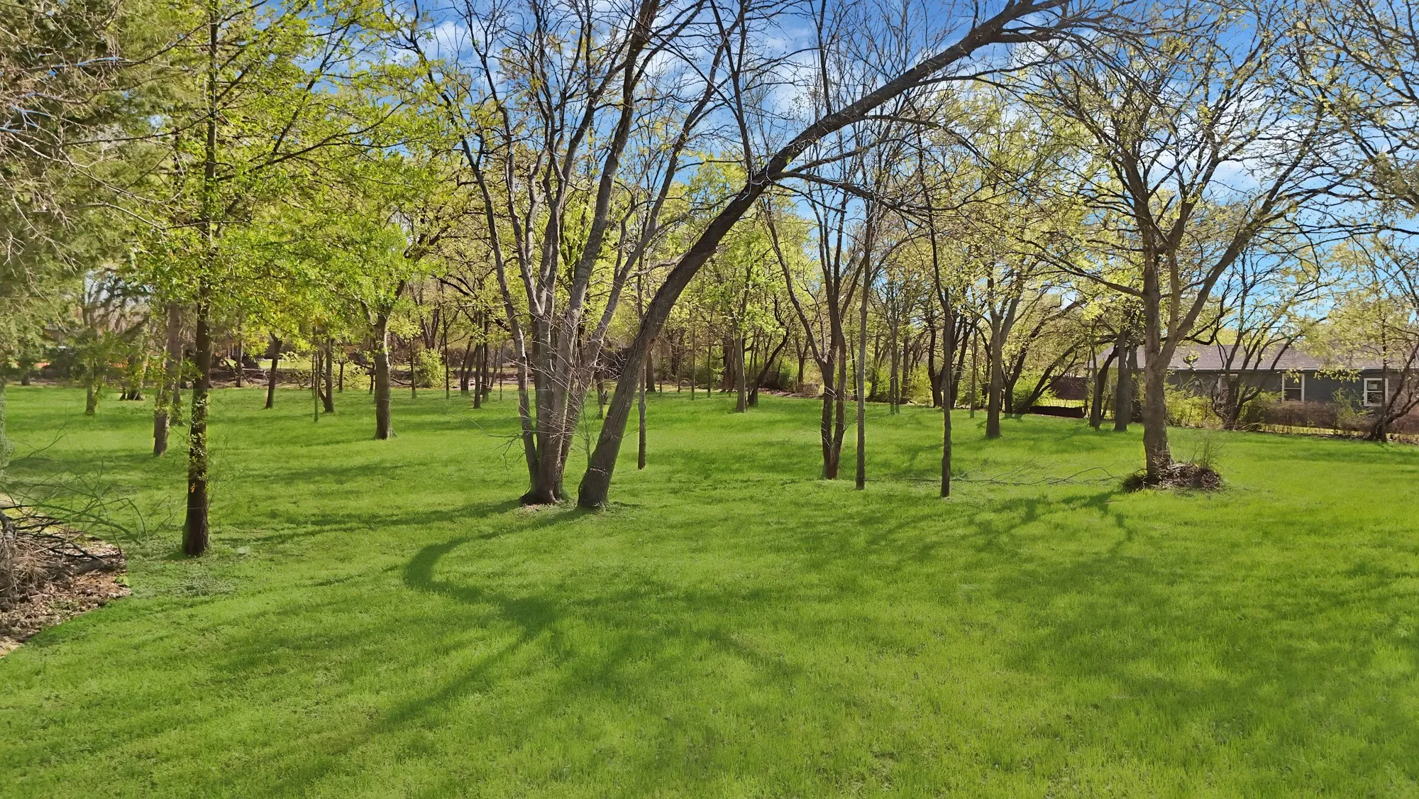 View of green lawn